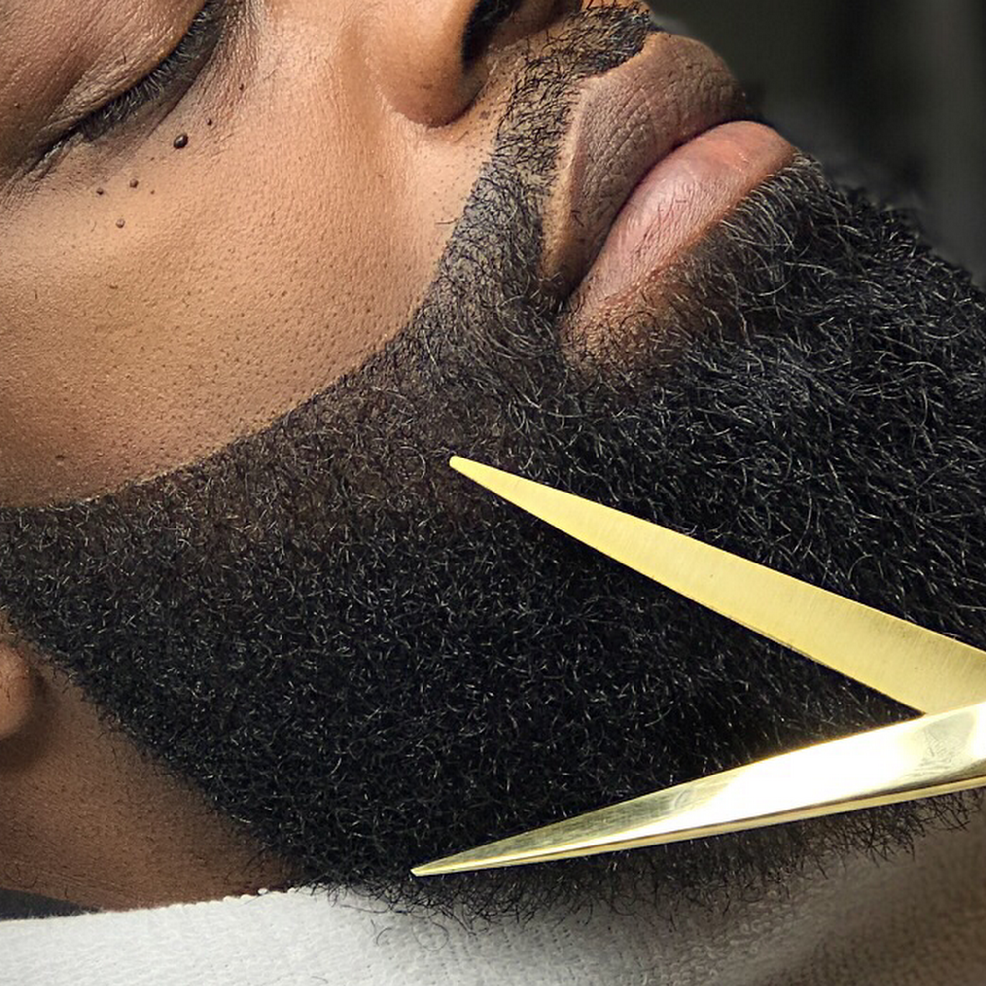 Black Label Cut Parlor 8501 Kennedy Ave, Highland Indiana 46322