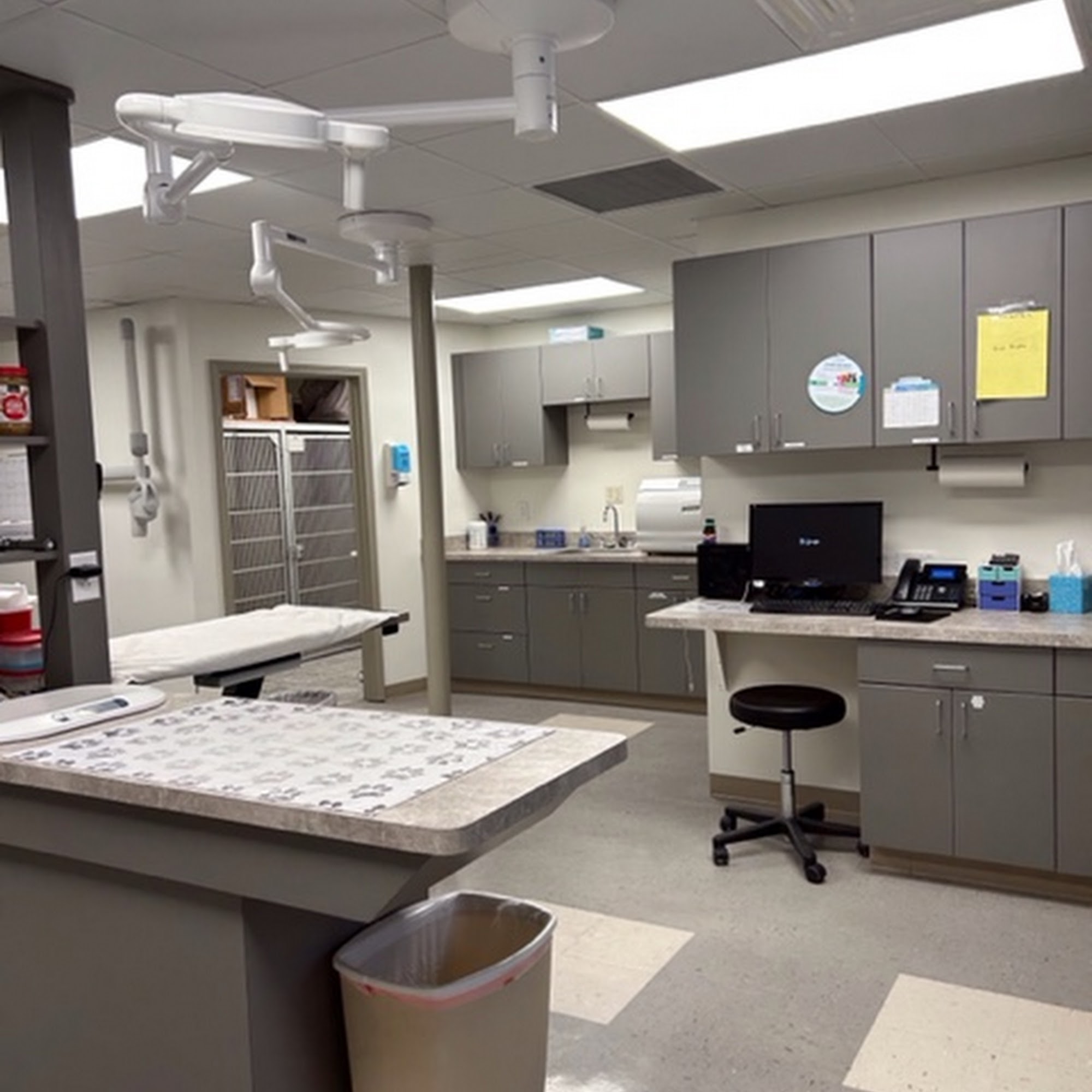 Monon Animal Hospital Indianapolis