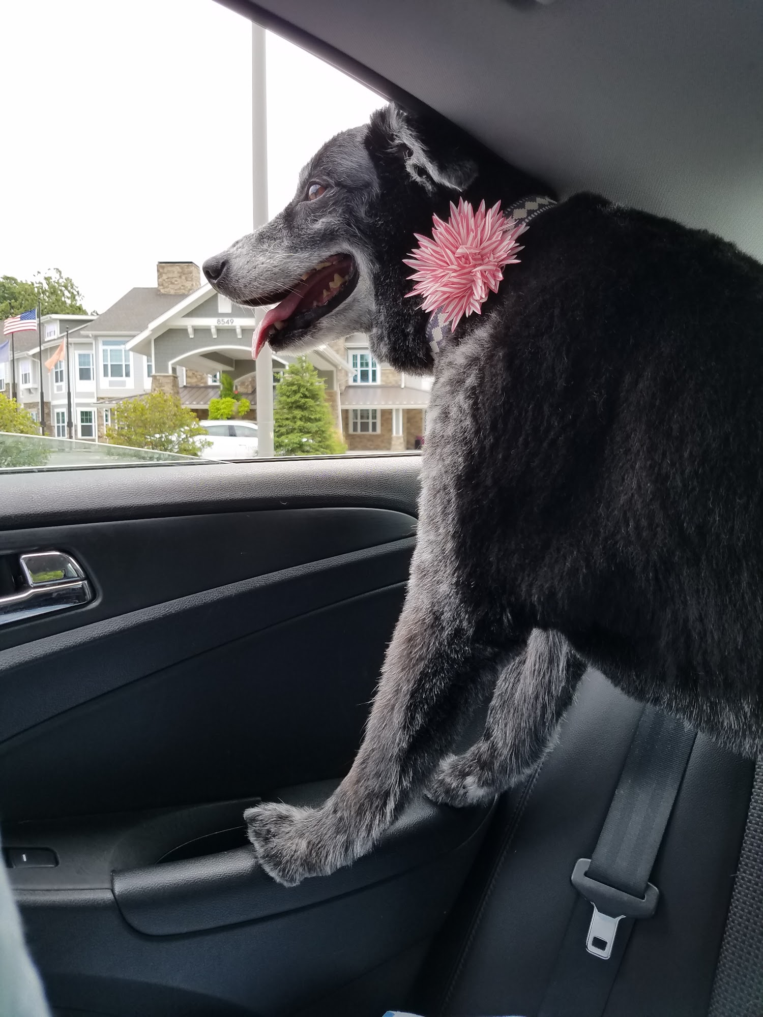 The Monon Tail Indianapolis