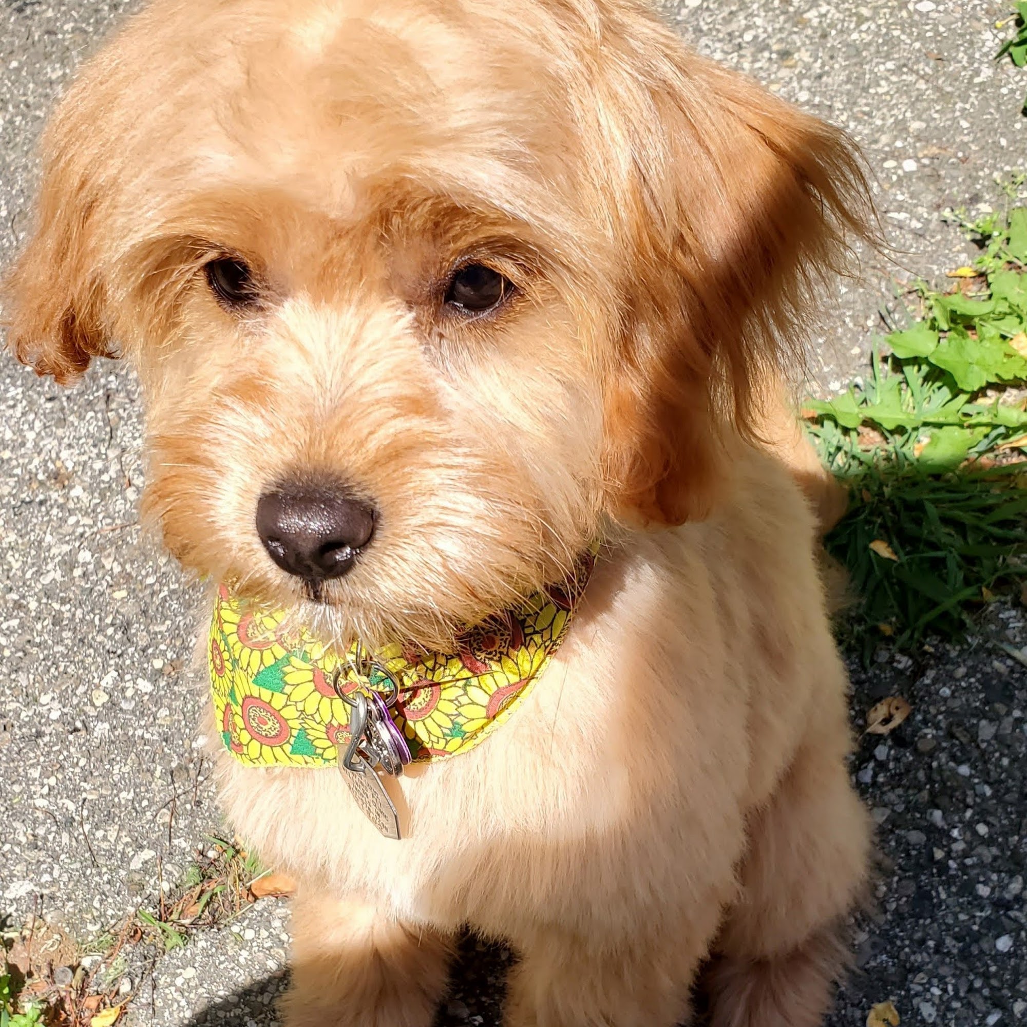 The Monon Tail Indianapolis