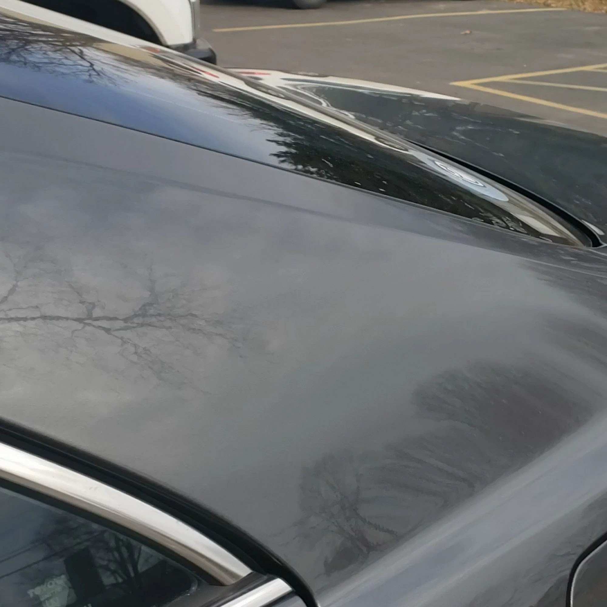 Southside Animal Shelter Indianapolis