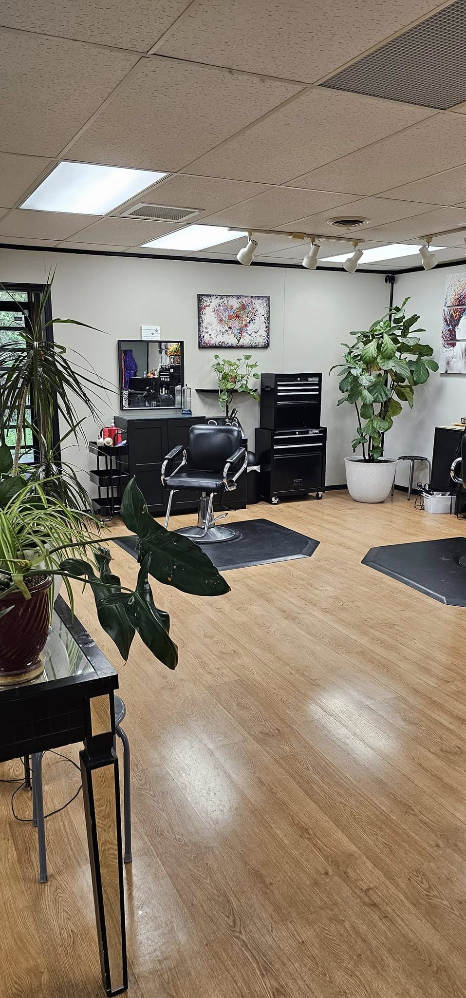 Do or Dye Hair Studio