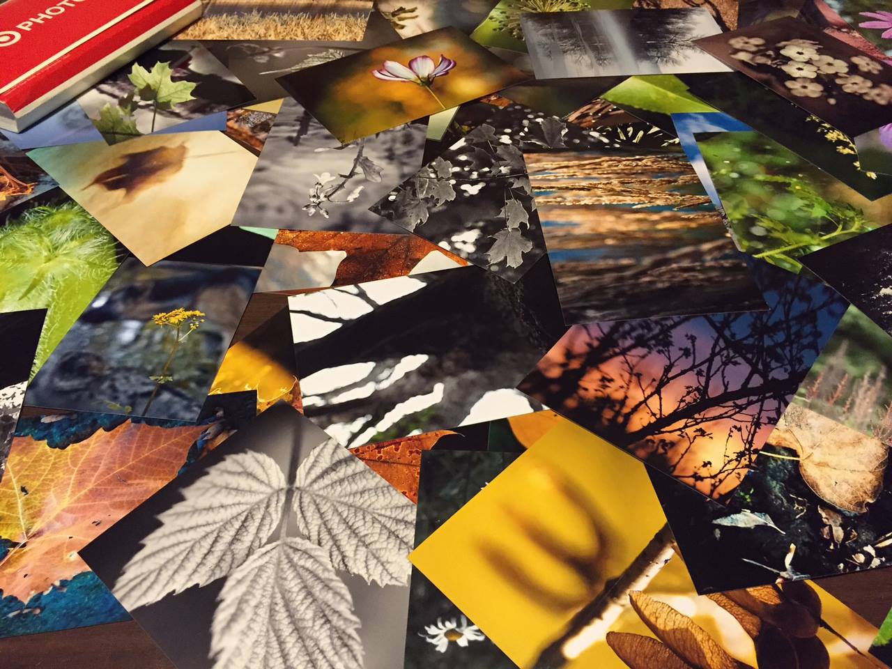 Paul D. Best Photography