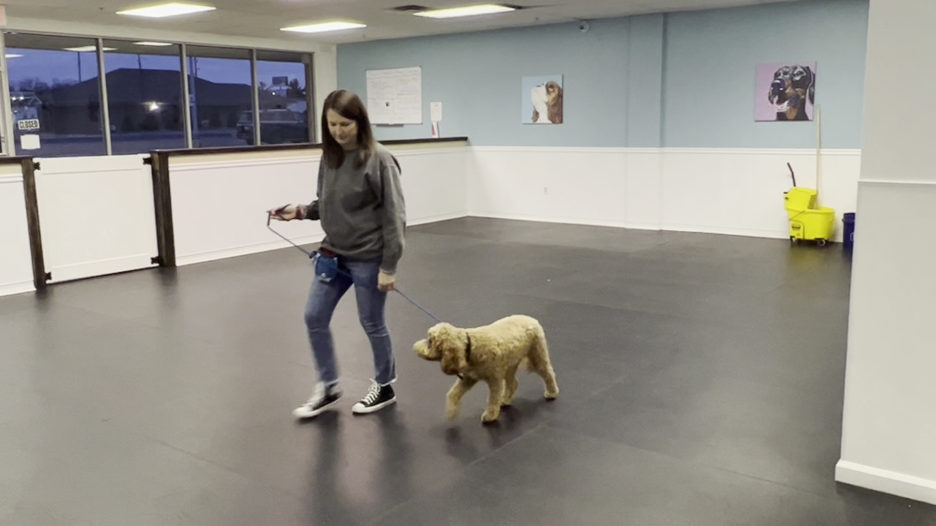 Purpose Driven K9 Dog Training Indianapolis