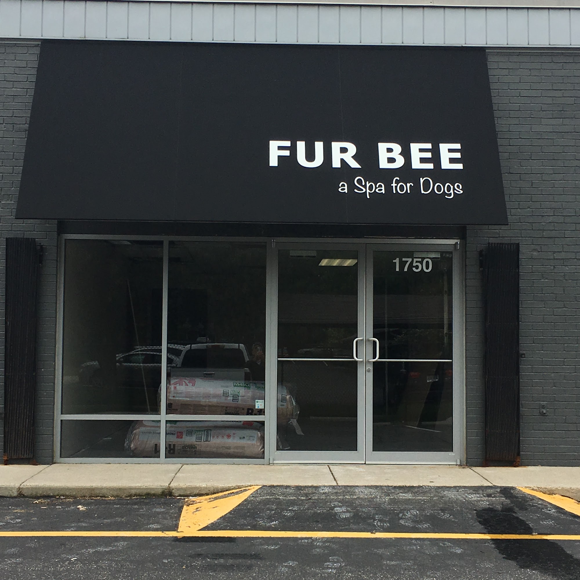 Fur Bee. Pet groomer Indianapolis