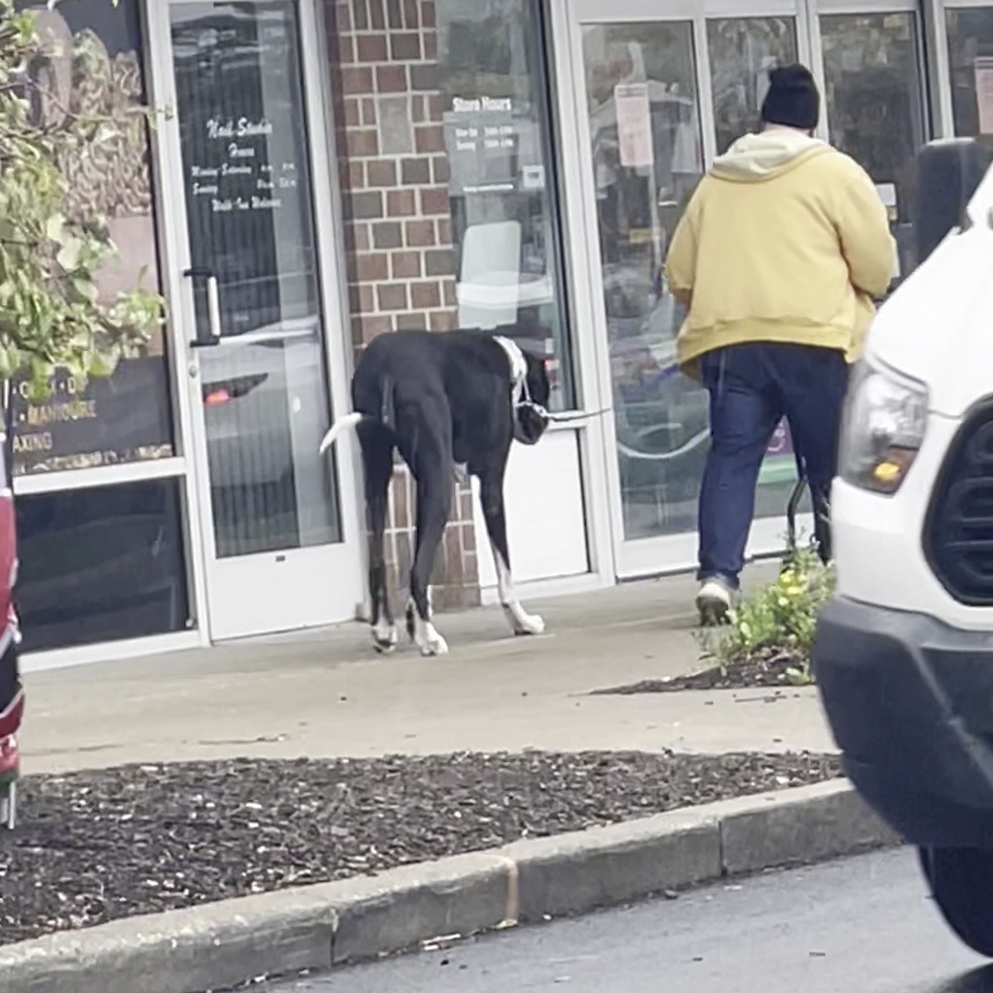 Pet Supplies Plus Greenwood Indianapolis