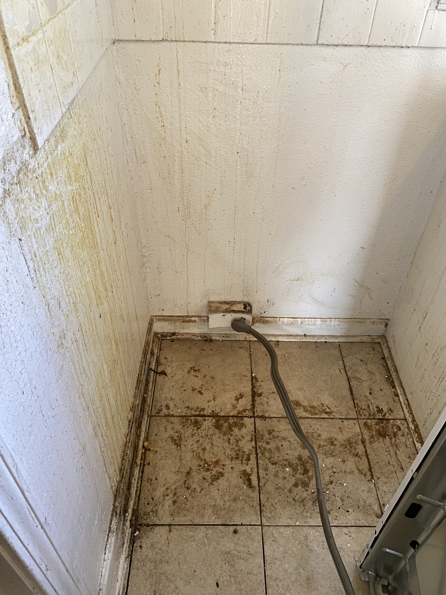 Hampton's Cleaning Company