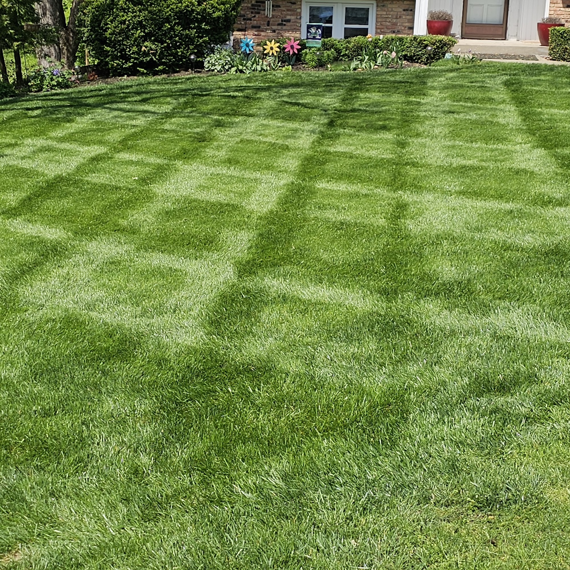 Exterior Services, Inc.