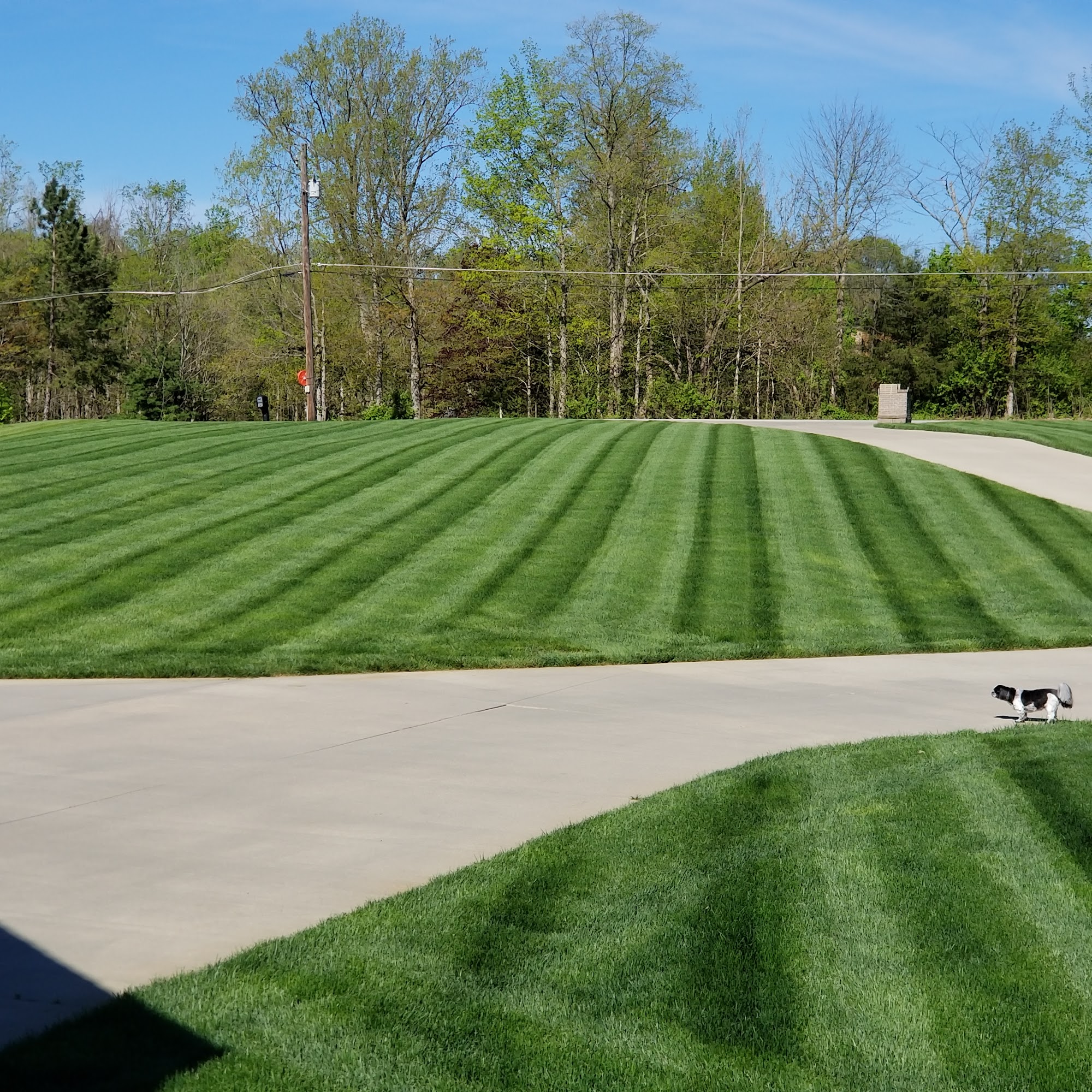 Exterior Services, Inc.