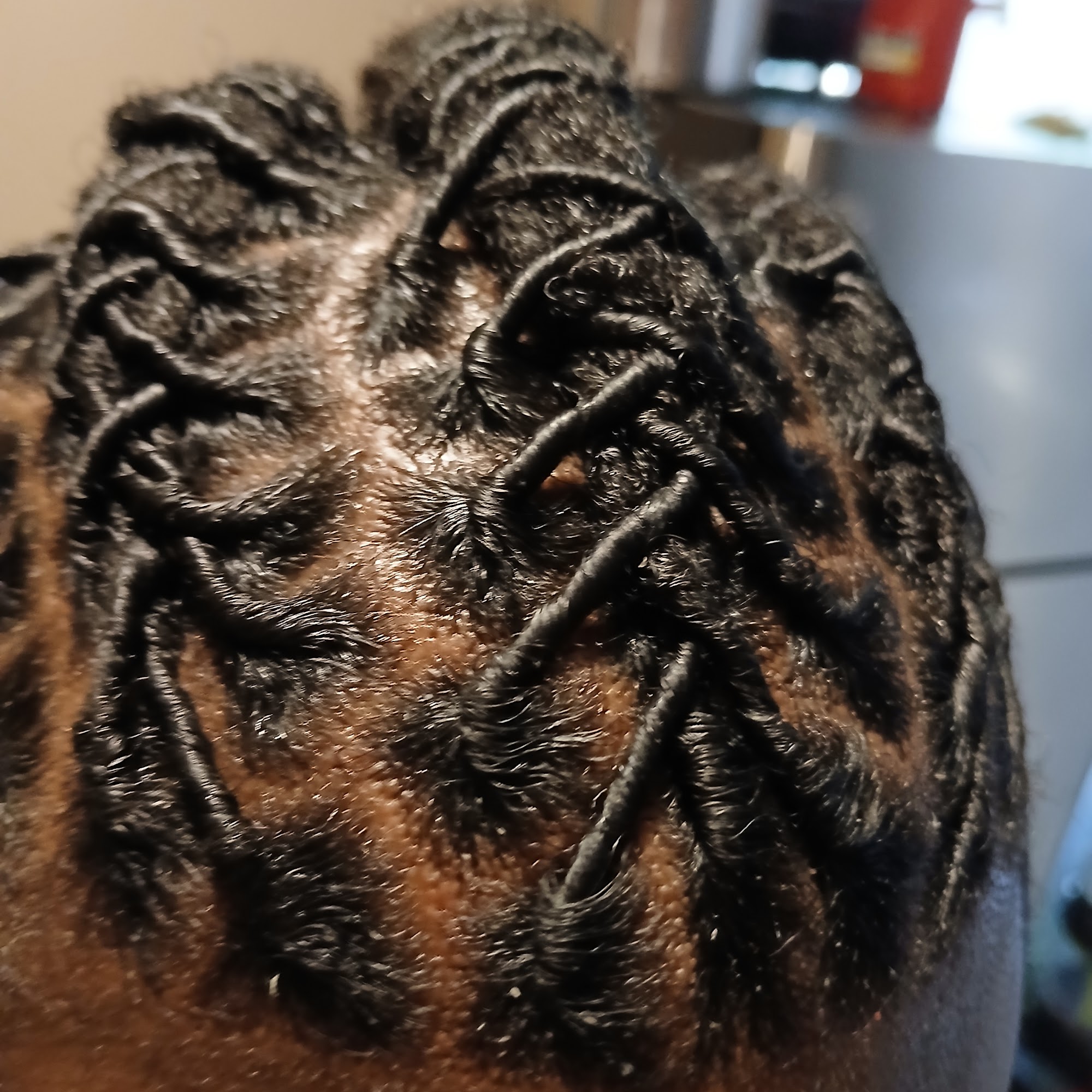 Ari Creationz