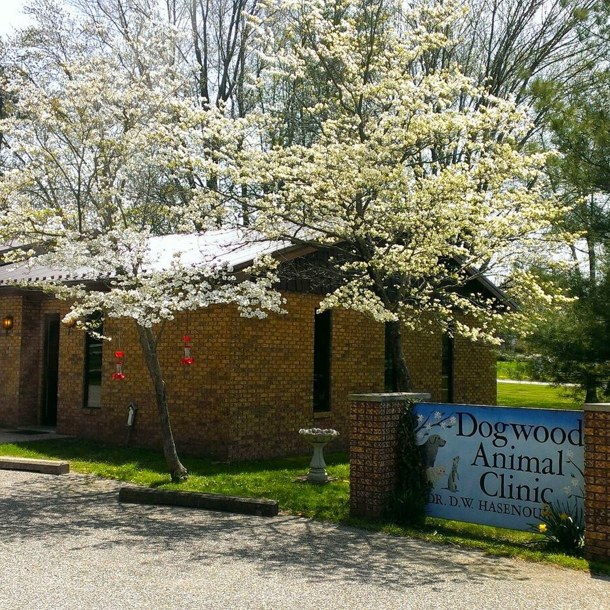 Dogwood Animal Clinic Inc Jasper