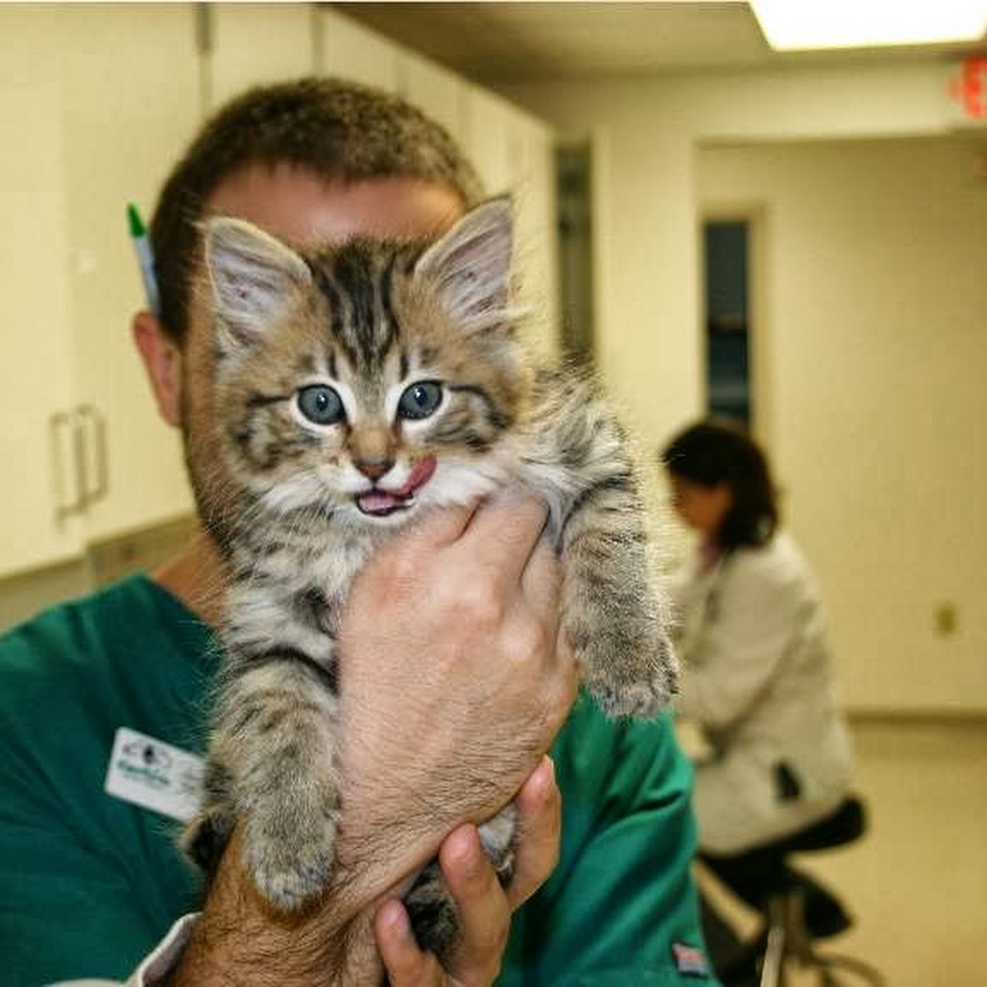 Eastside Animal Hospital Jeffersonville