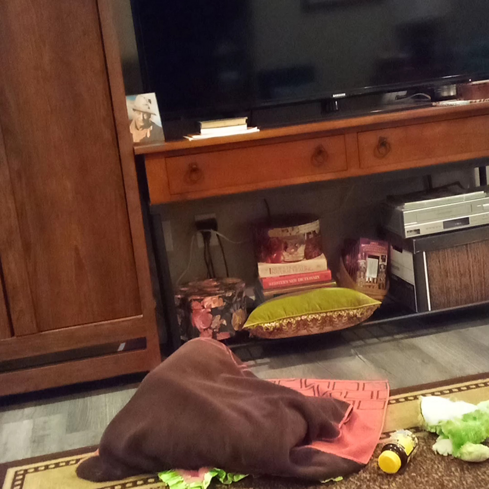 Bark Avenue Pet Salon Jeffersonville