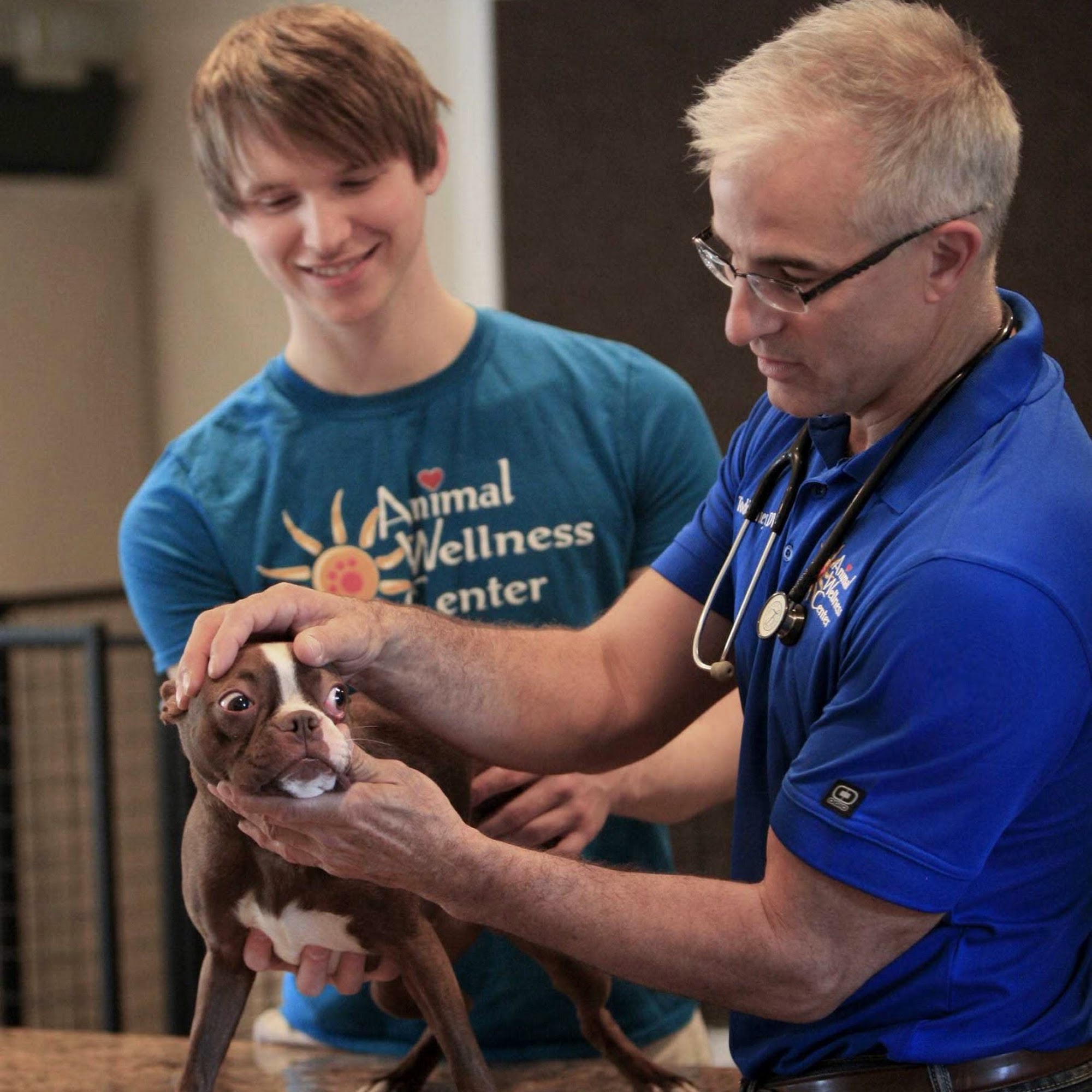 Animal Wellness Center Kokomo