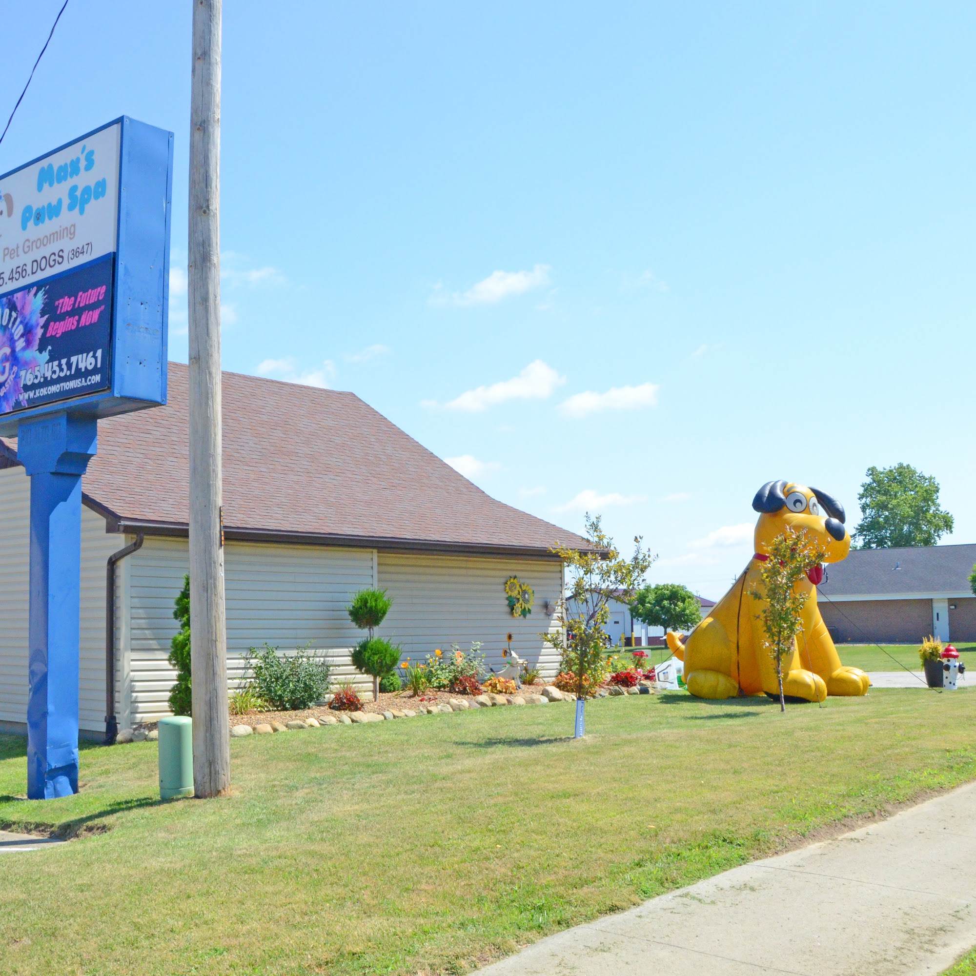 Max's Paw Spa 268 E Alto Rd, Kokomo Indiana 46902