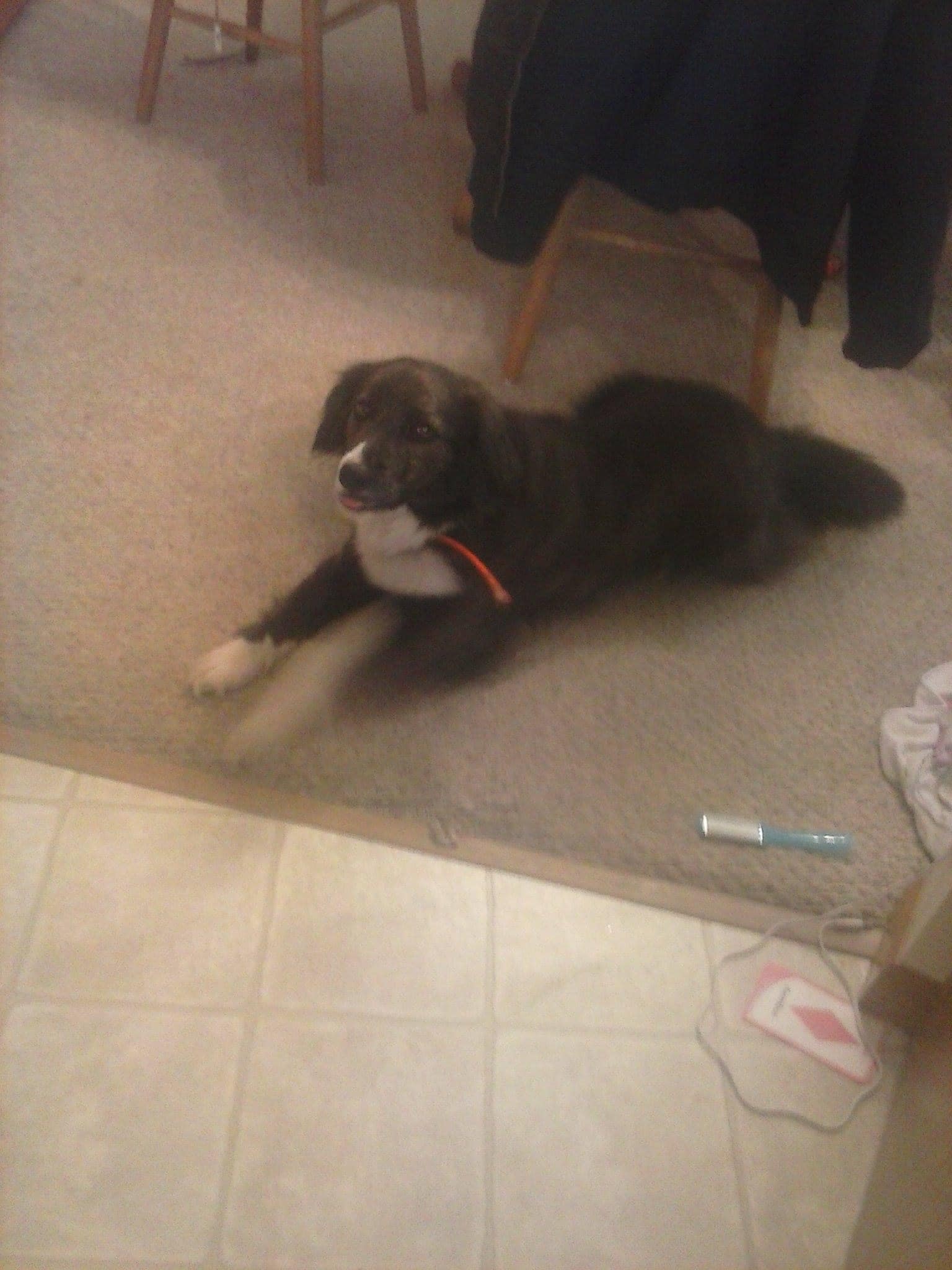 Clark's auto repair La Crosse