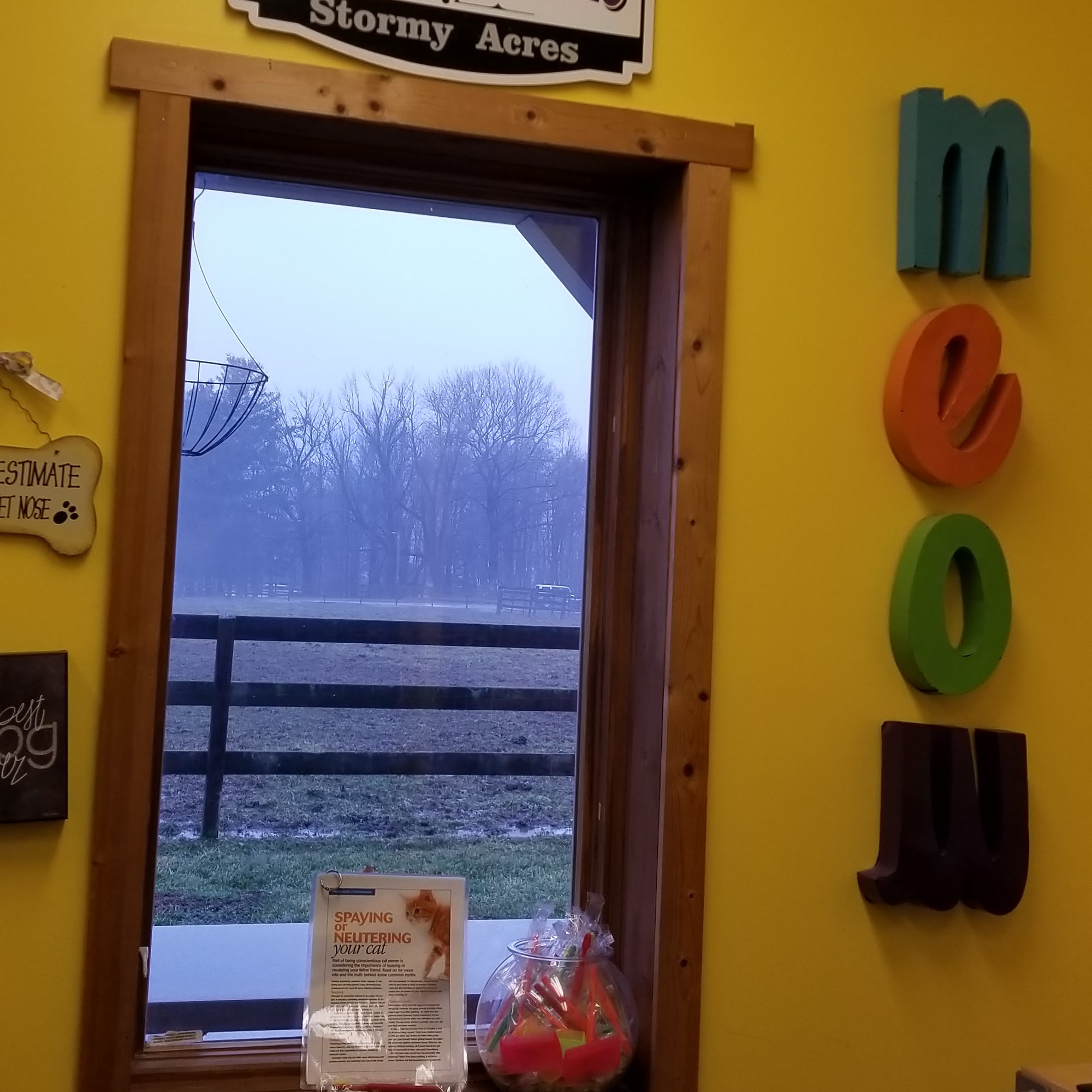 Wildcat Valley Animal Clinic Lafayette