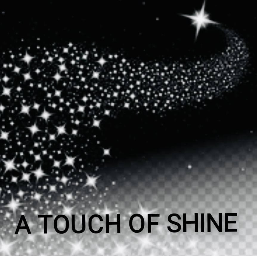 A Touch of Shine Cleaning Service