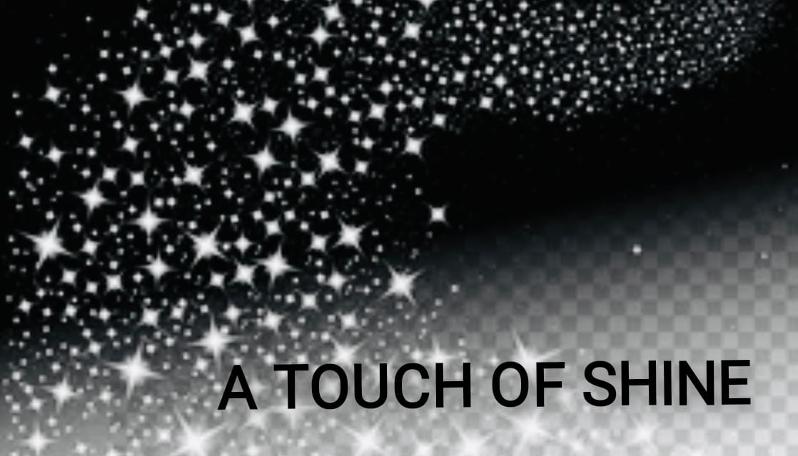 A Touch of Shine Cleaning Service