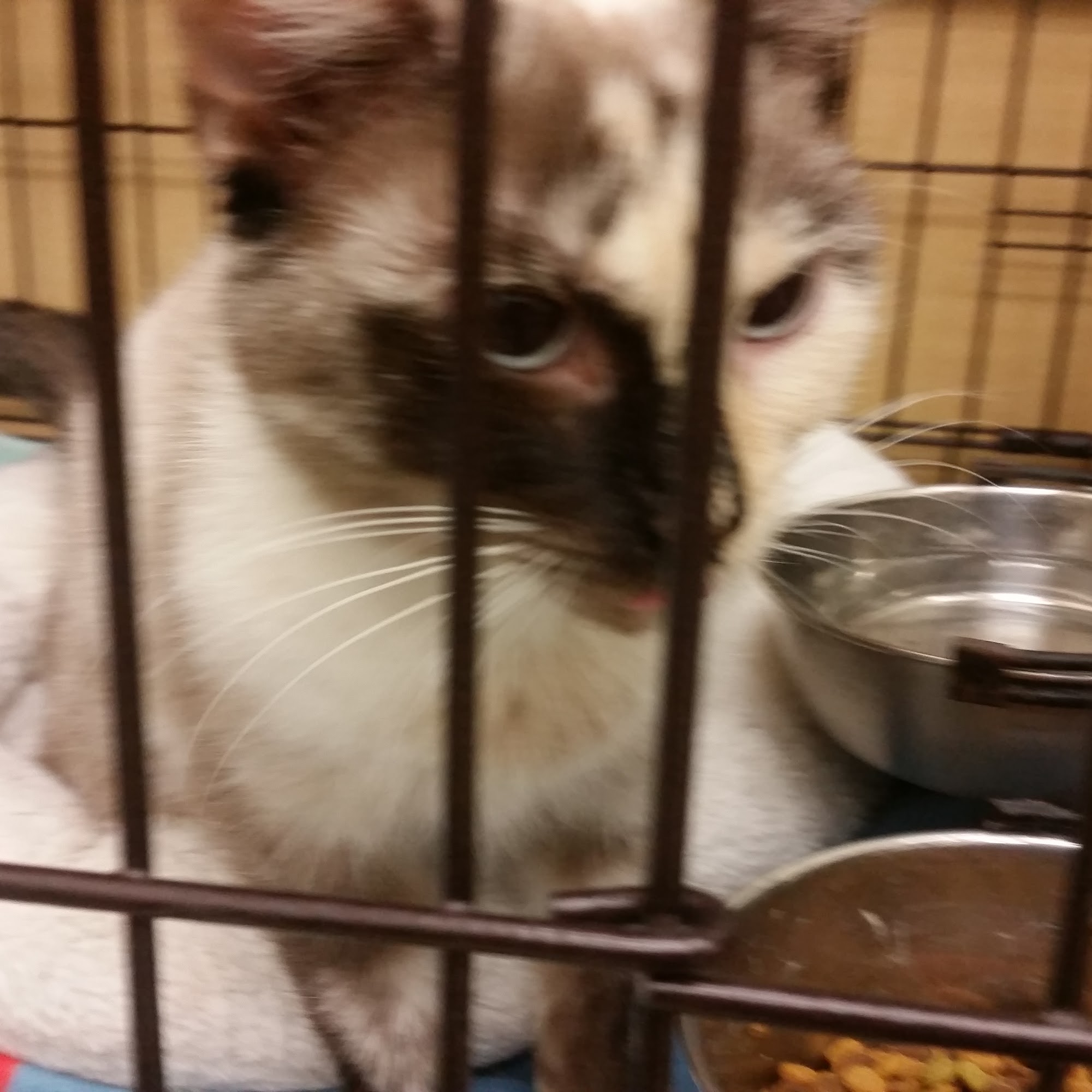 Pet Supplies Plus Lafayette Lafayette