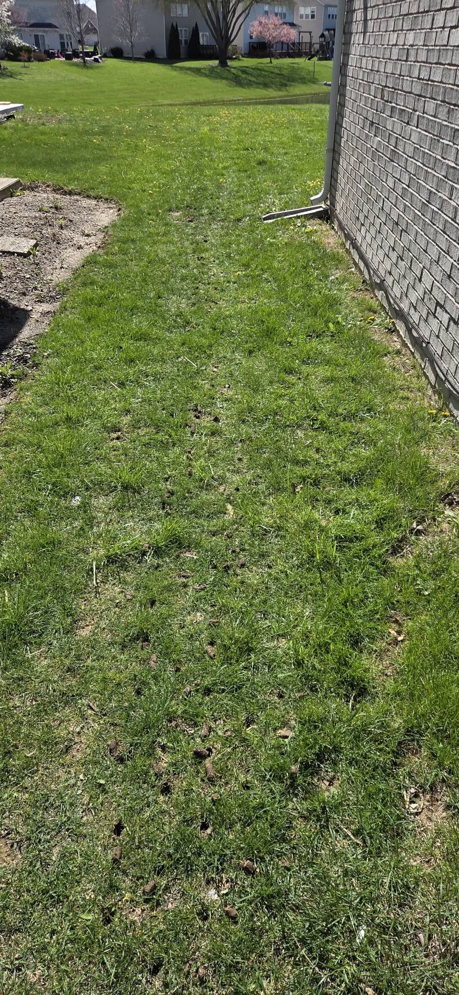 RAD Aerating