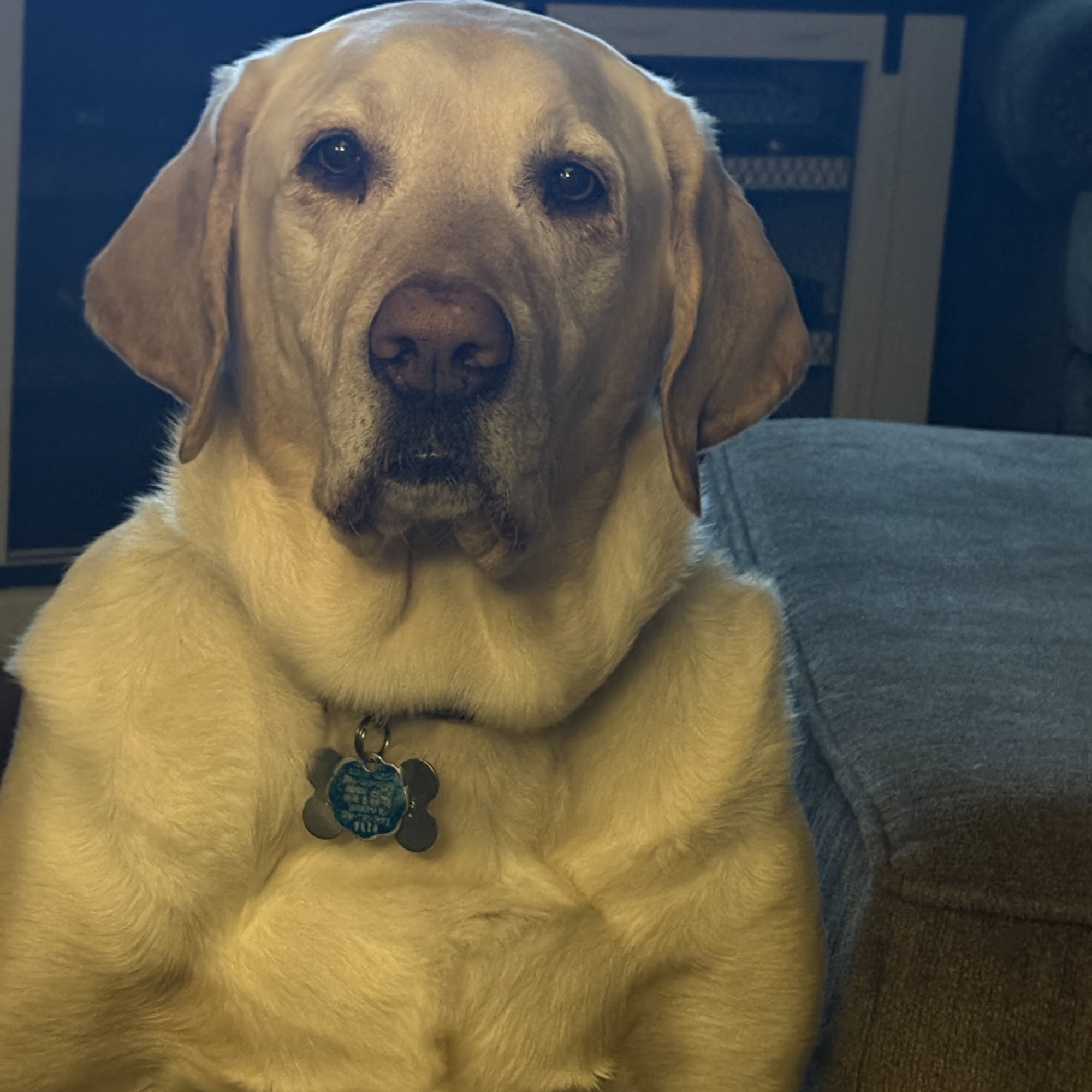 Grove Veterinary Clinic Liberty