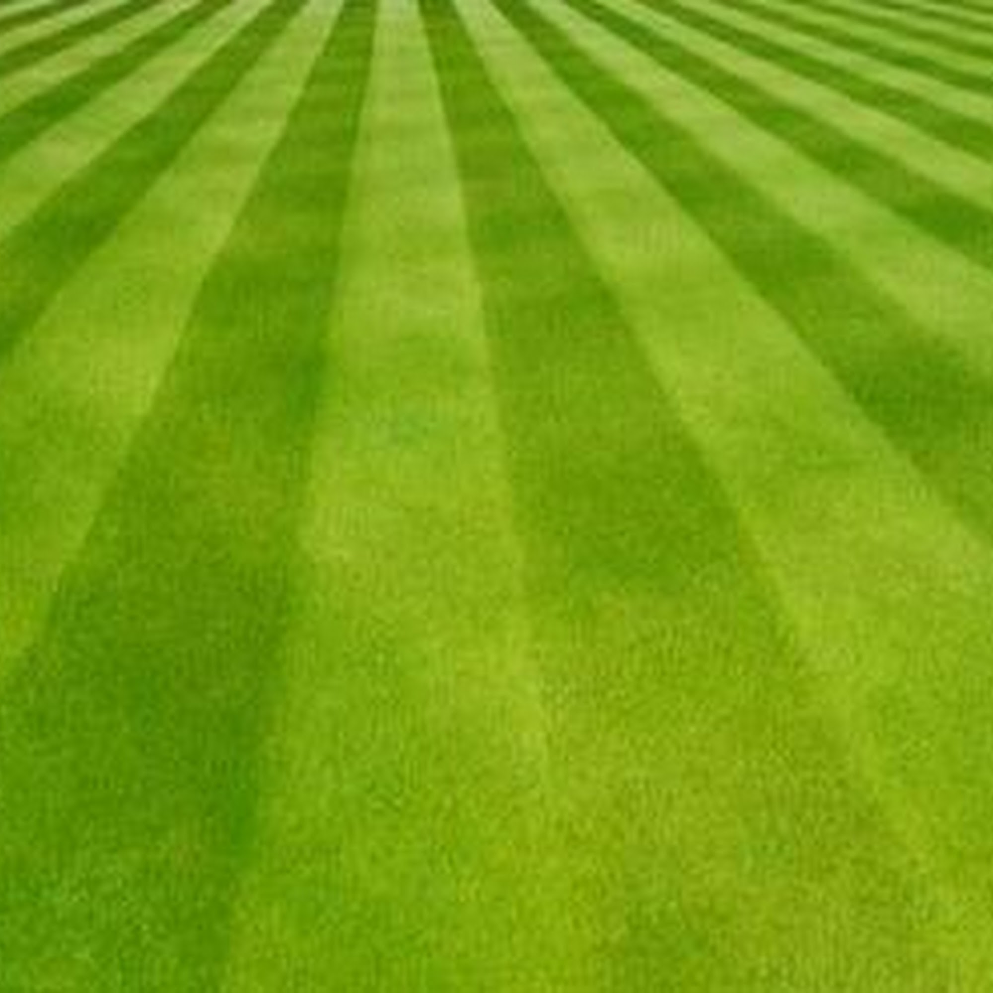 Sprague's Lawn Service Inc. 4881 W 1000 N, Ligonier Indiana 46767