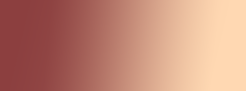 Bright Ray Carpet Cleaning Inc