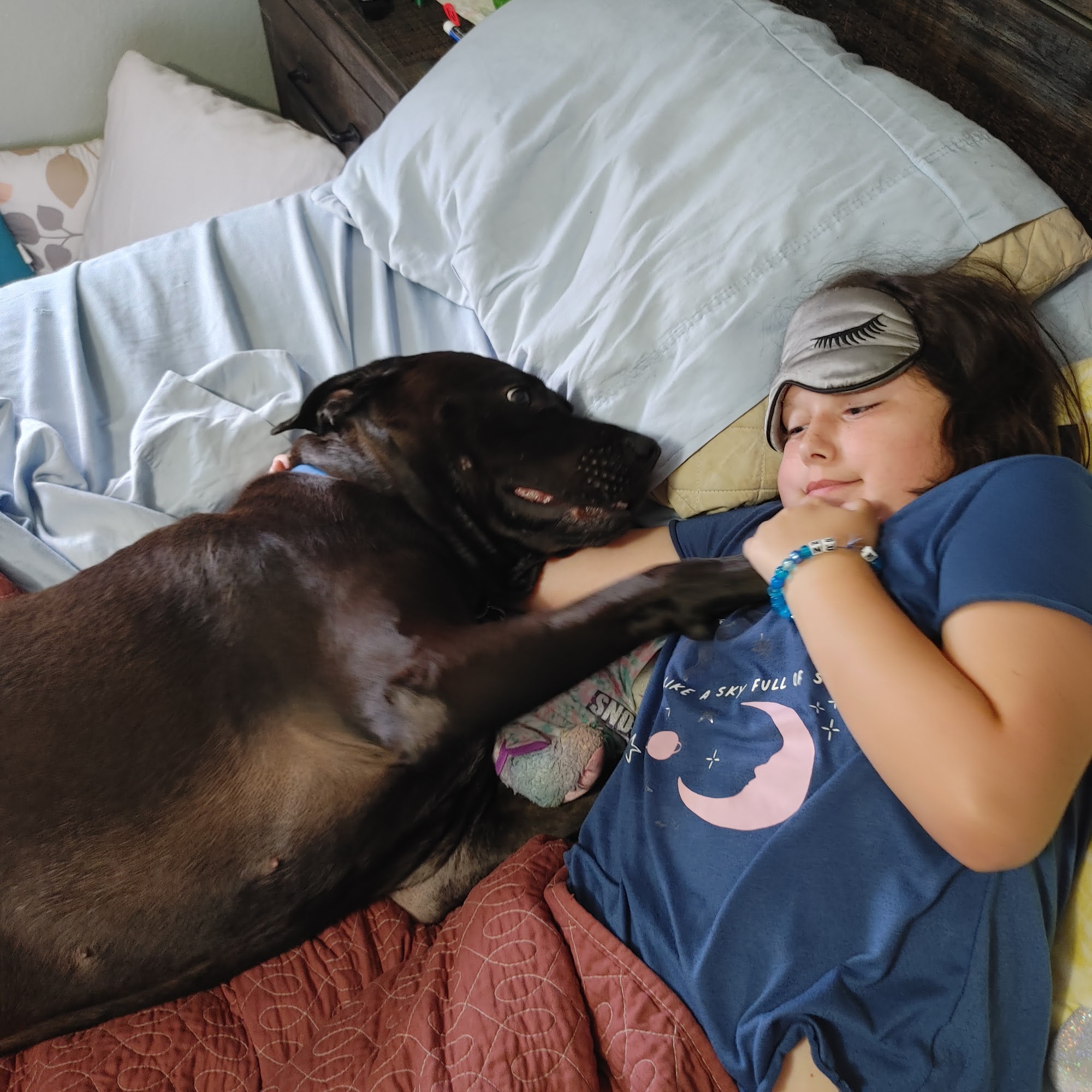 Martin County Humane Society Loogootee