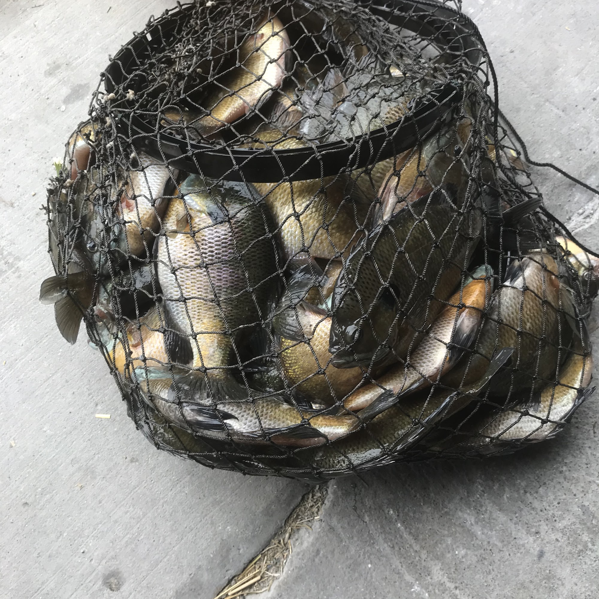 Big Johns Racks N Reels Loogootee