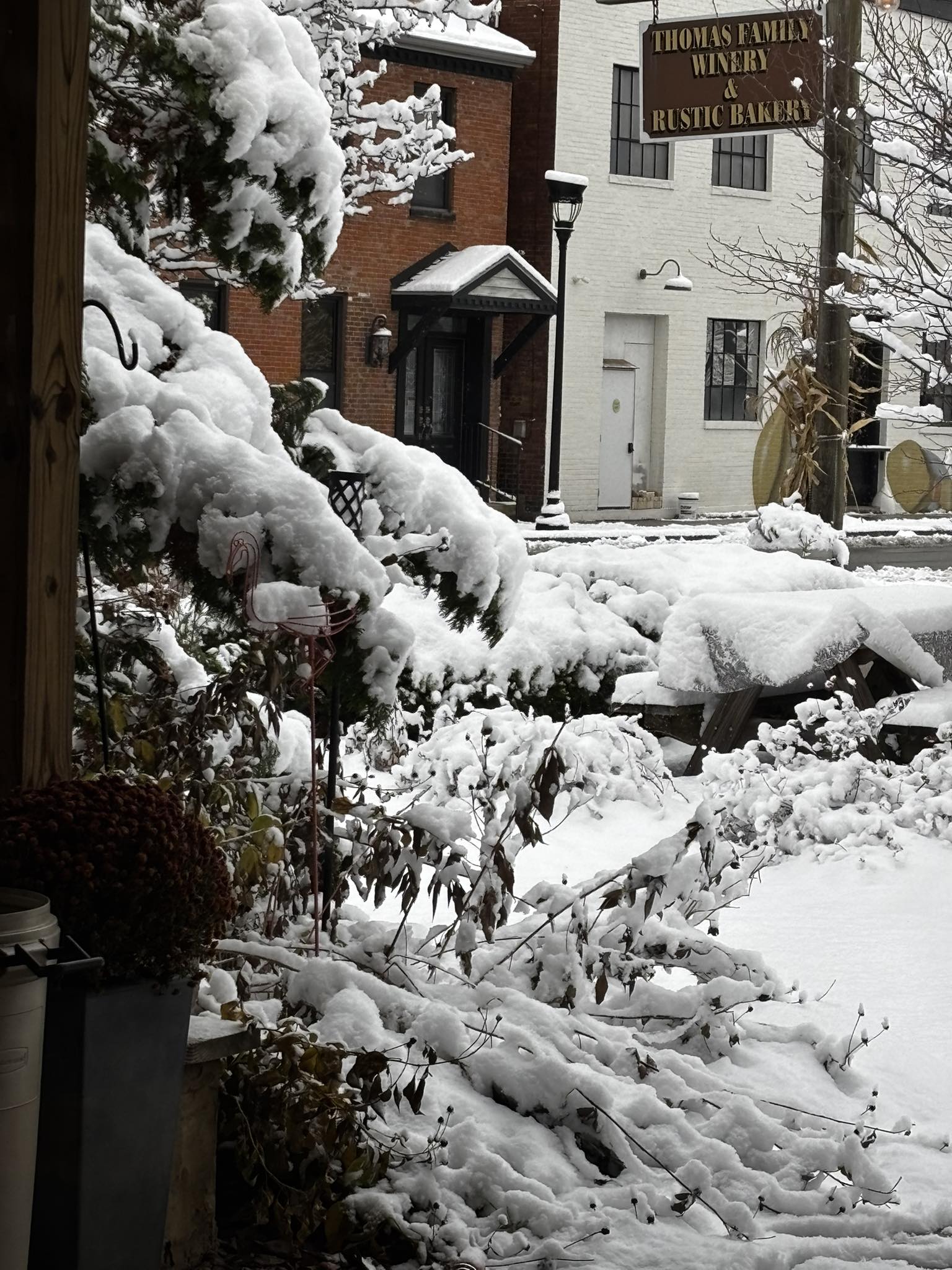 Thomas Family Winery Madison