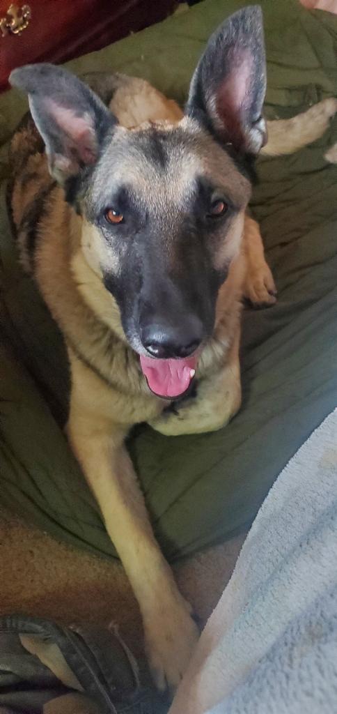 Durkes Veterinary Clinic Marion