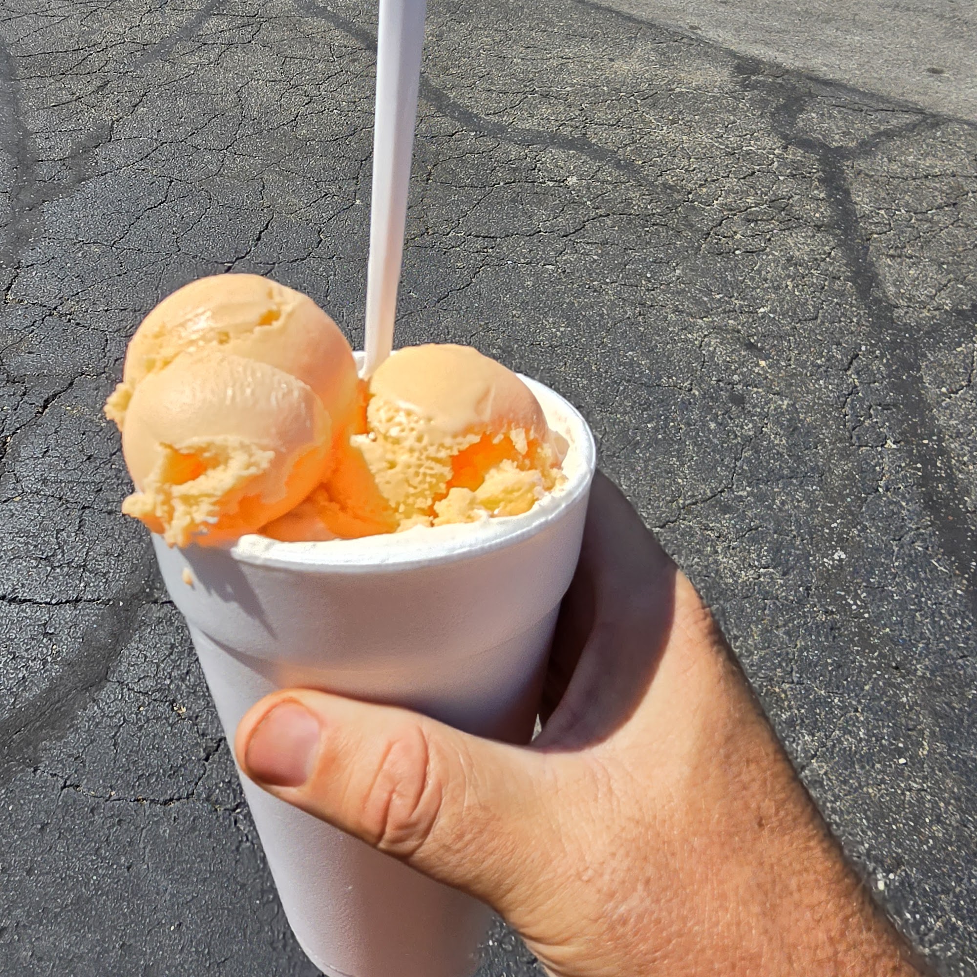 Inside Scoop Inc Martinsville