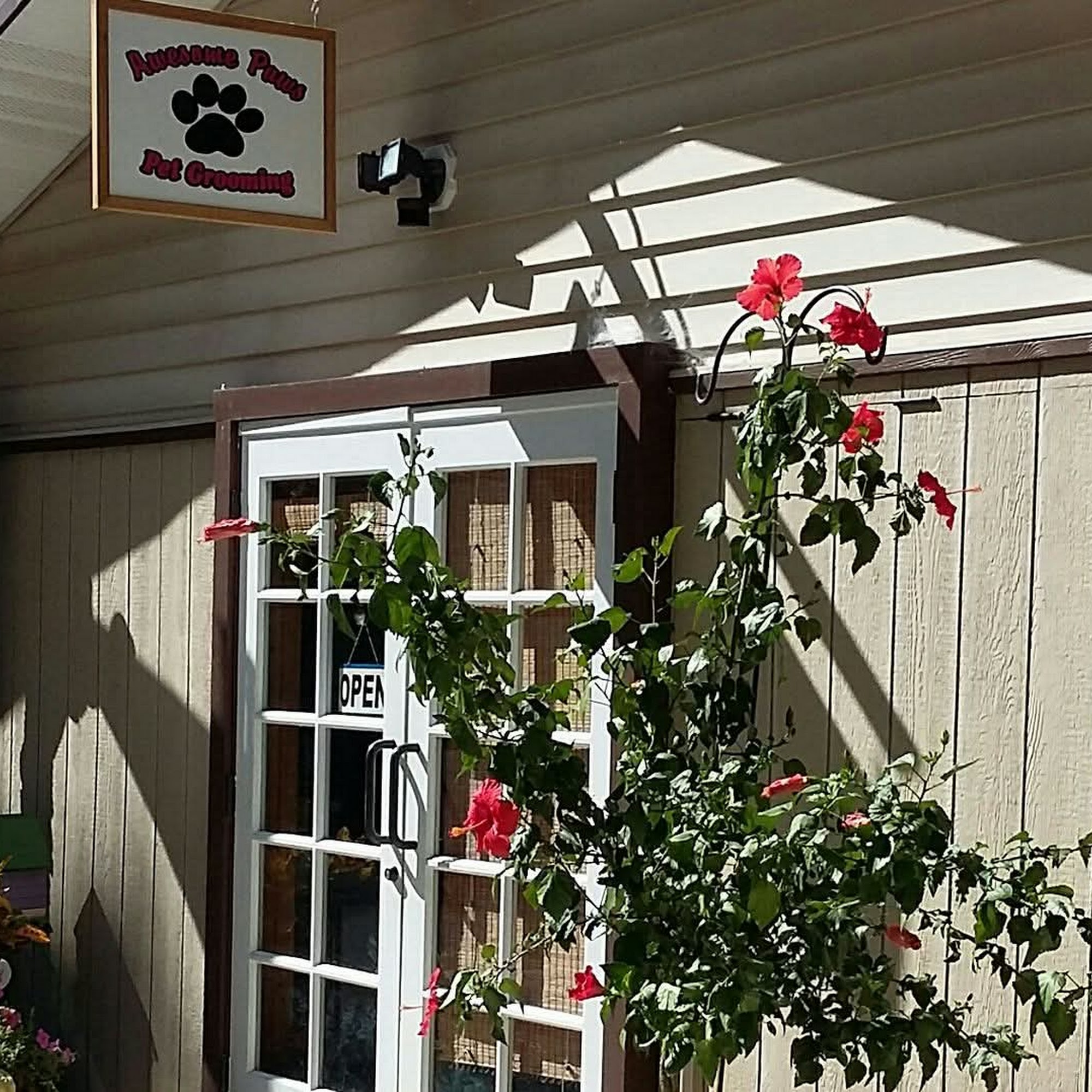 Awesome Paws Professional Pet Grooming