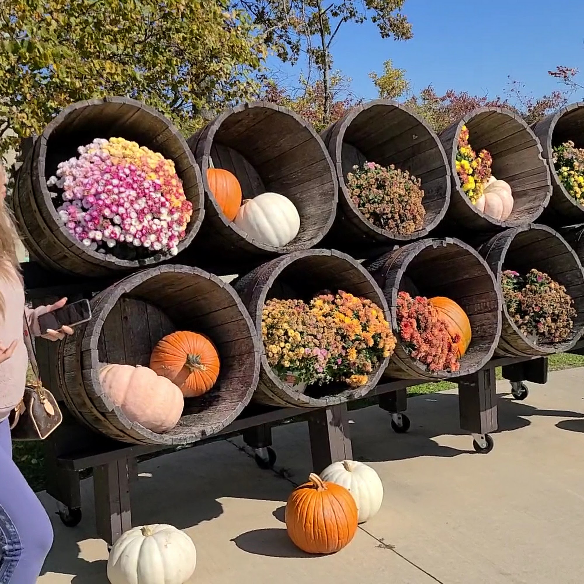 Daniel's Vineyard, Event Venue & Winery McCordsville