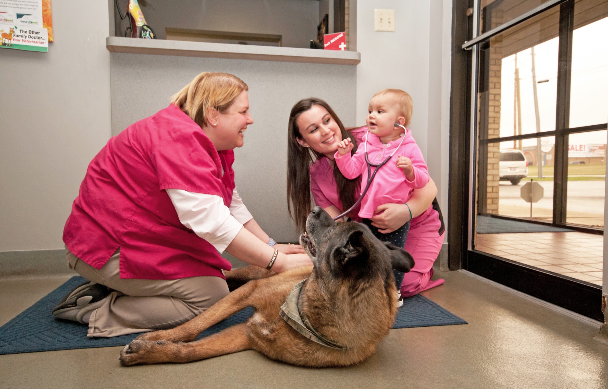 Southlake Animal Hospital PC Merrillville
