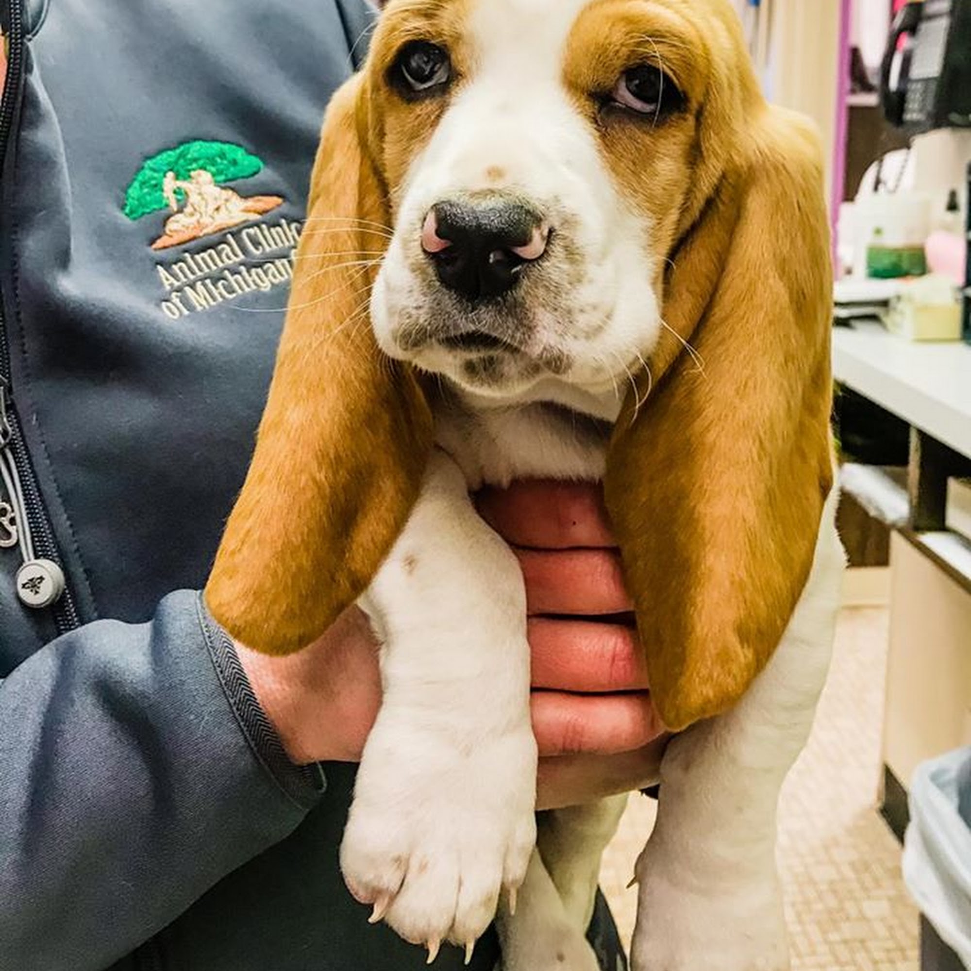 Woodland Veterinary Center Michigan City