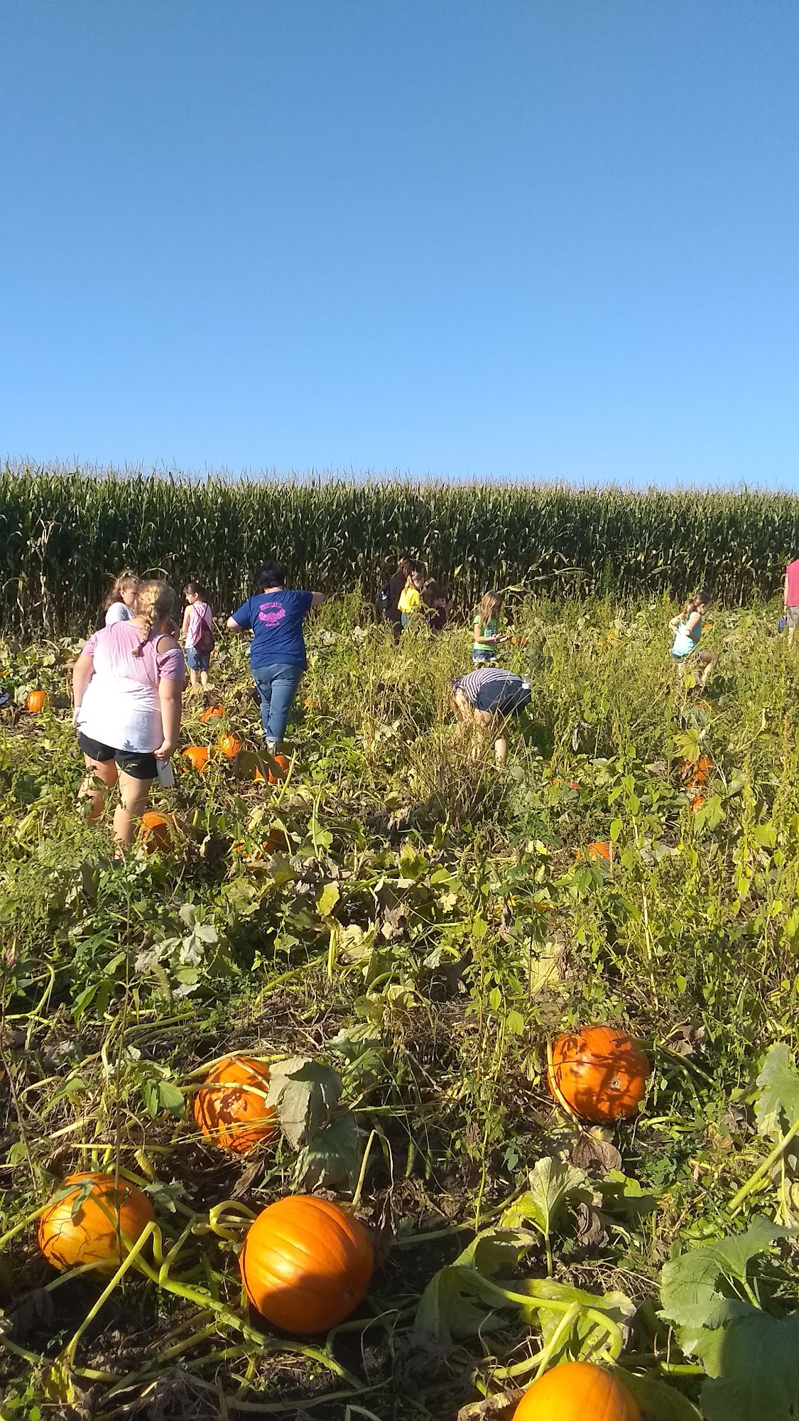Howell Farms Middletown