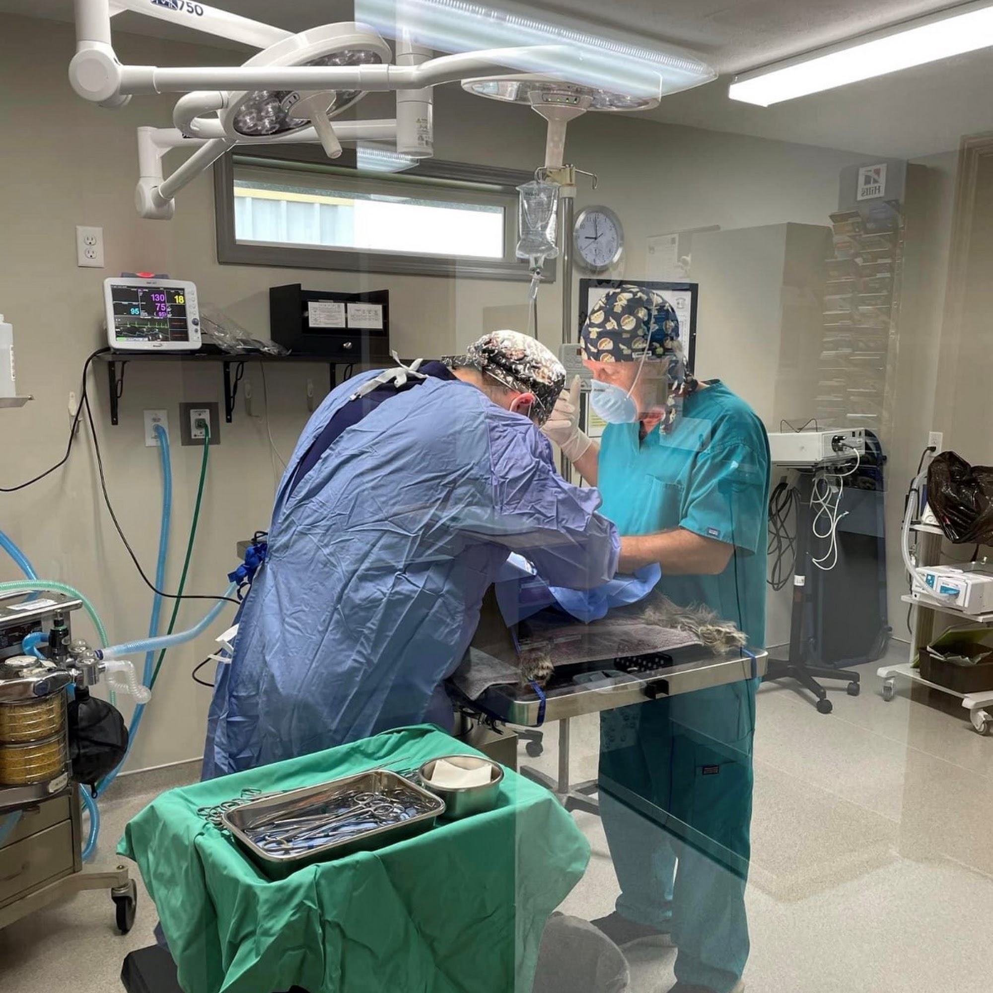 Mishawaka Animal Care Center Mishawaka