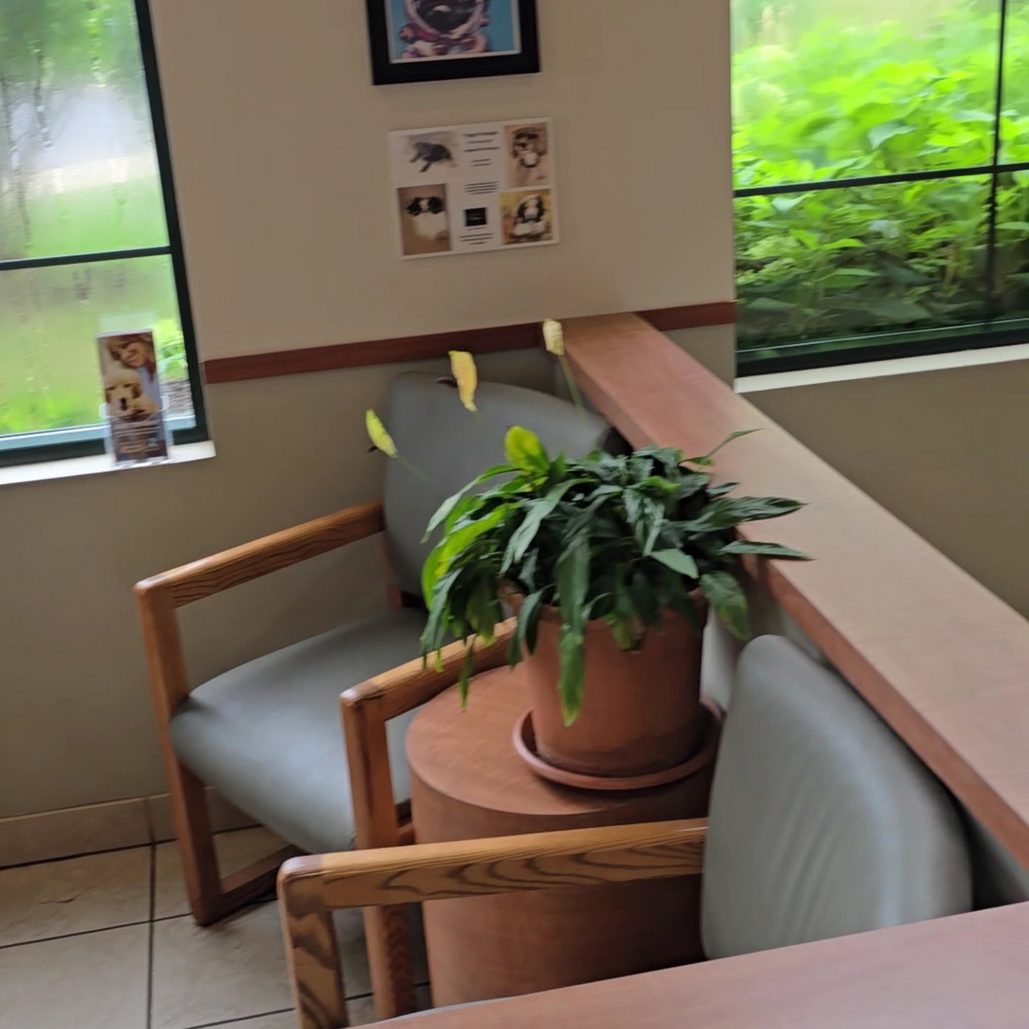 Magrane Pet Medical Center, A Thrive Pet Healthcare Partner Mishawaka