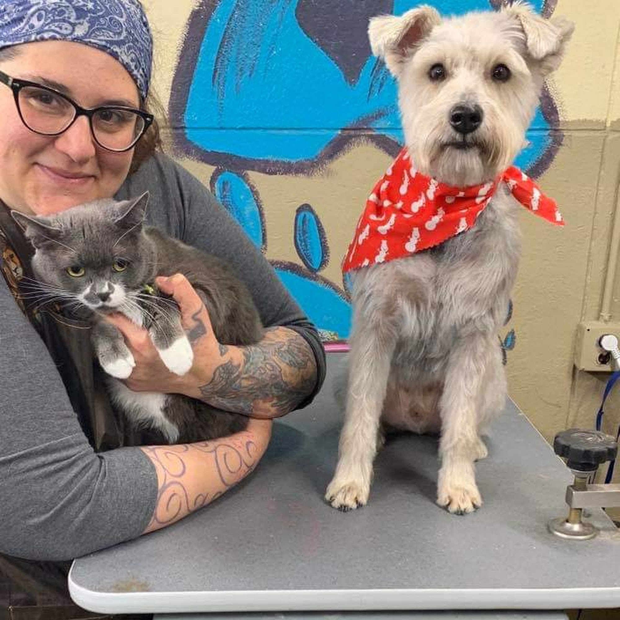 Serenity Pet Spaw Mishawaka