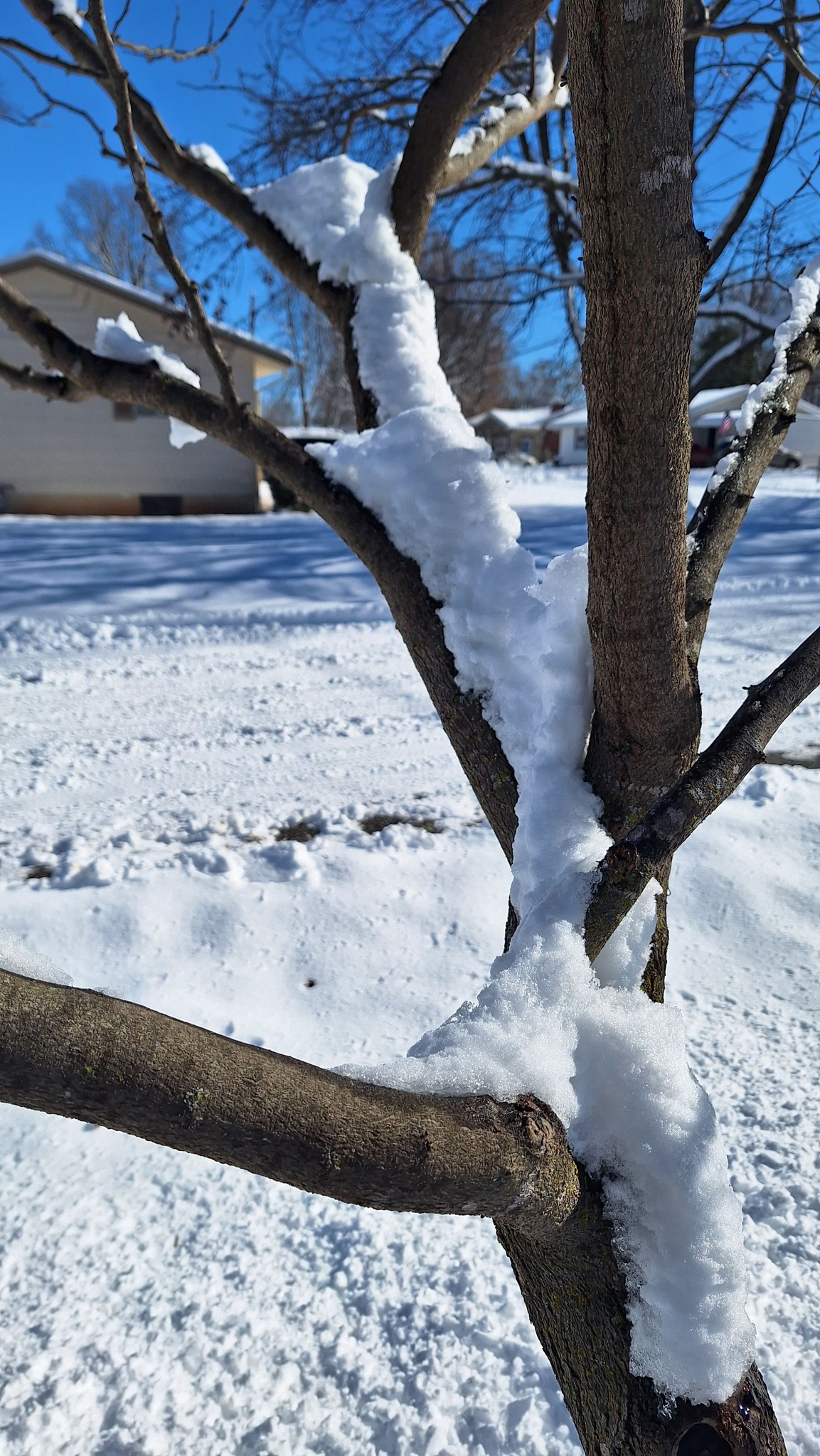 4 Seasons Tree Service