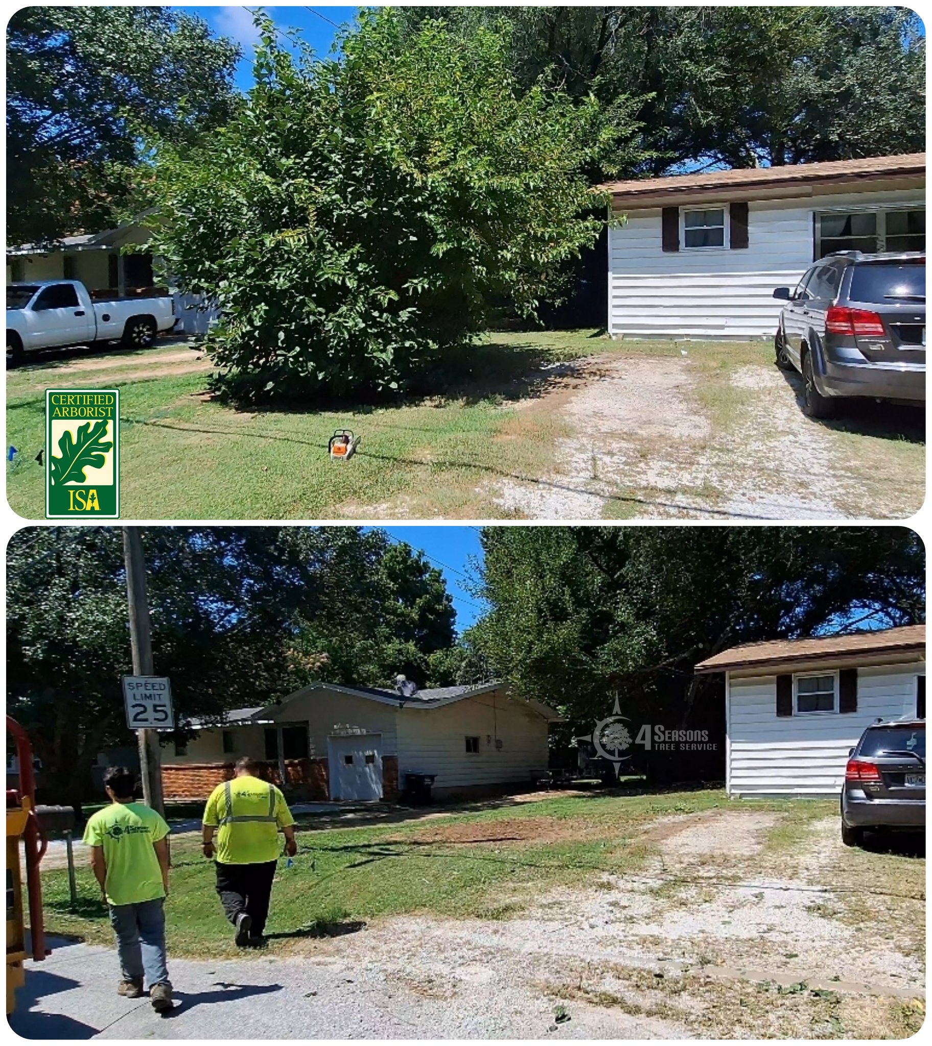 4 Seasons Tree Service