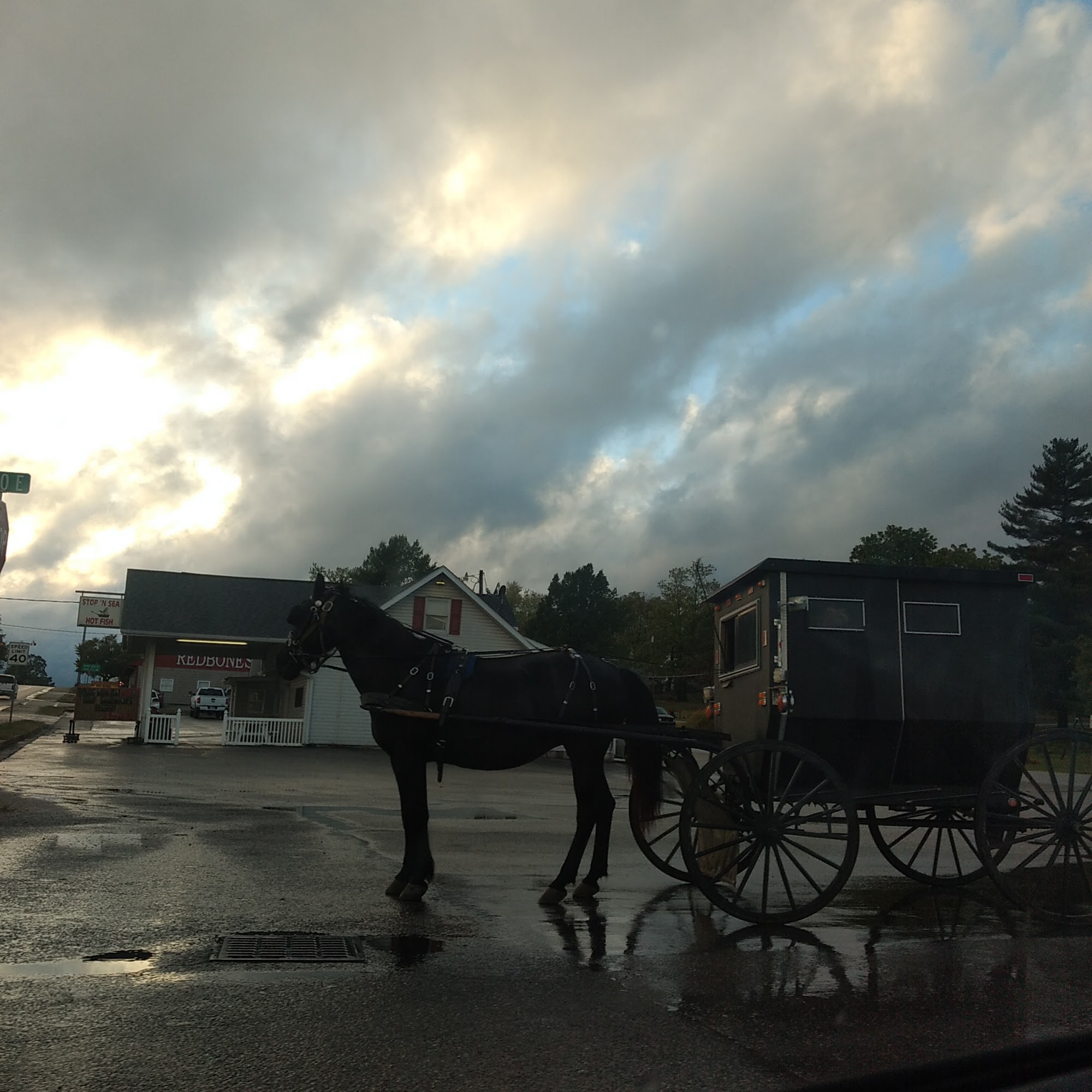 H & M Farm Toys Montgomery