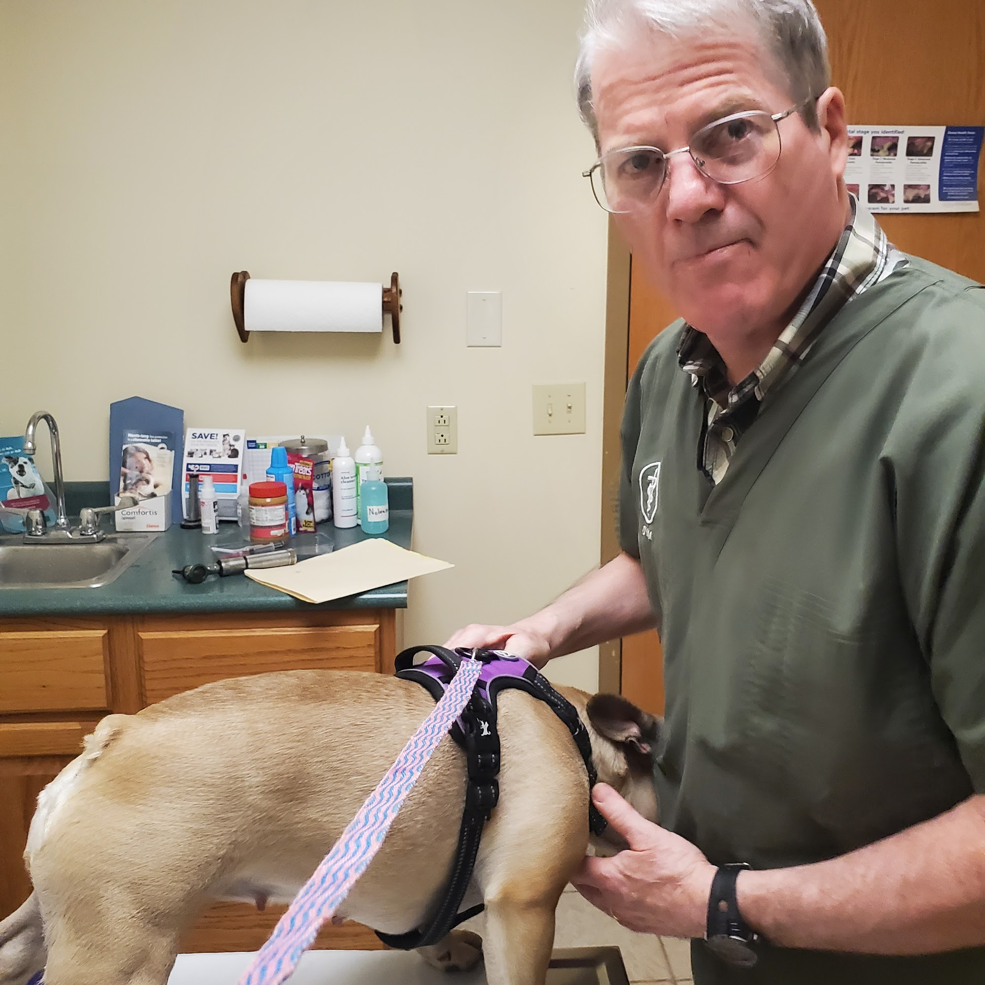 Boyce Animal Hospital Muncie