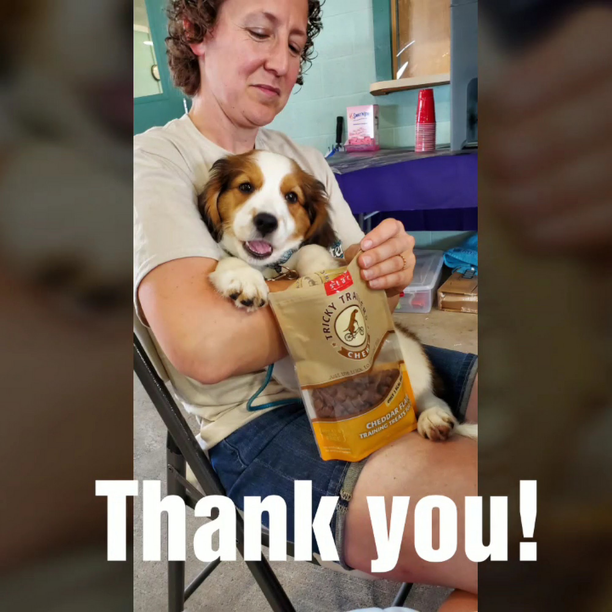 Roo's Holistic Pet Supplies Muncie