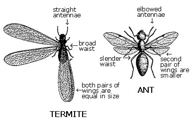 Indiana Exterminating Co