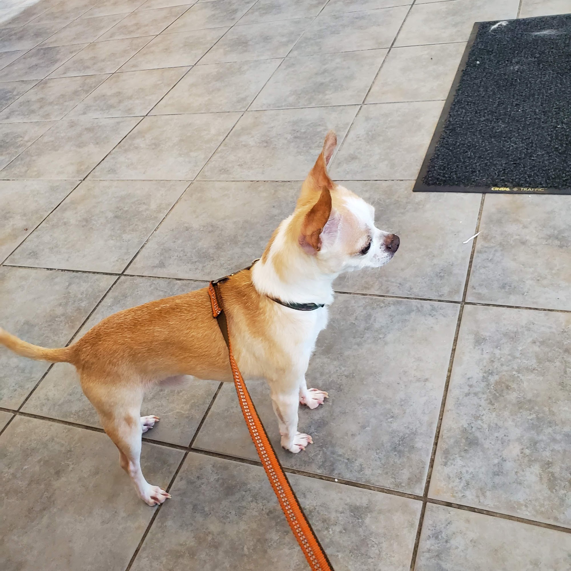 Munster Animal Hospital: Foster Mike DVM Munster