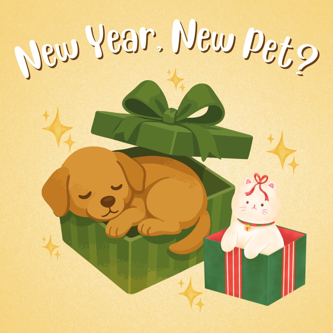 Especially Pets New Albany