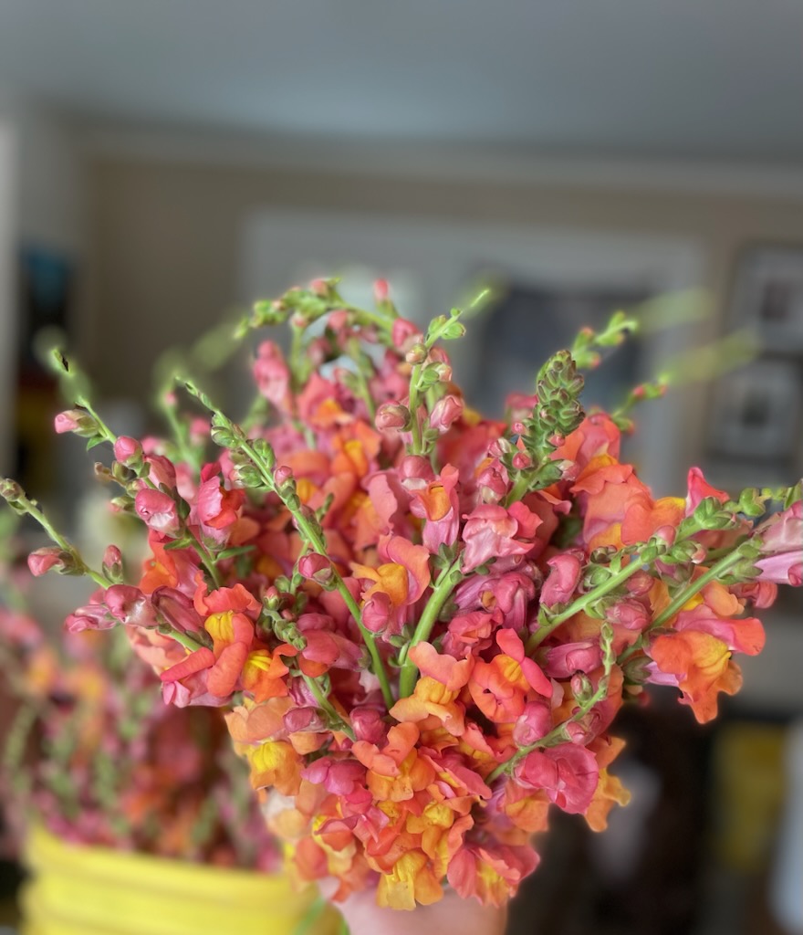 Ashby Acres LLC New Albany